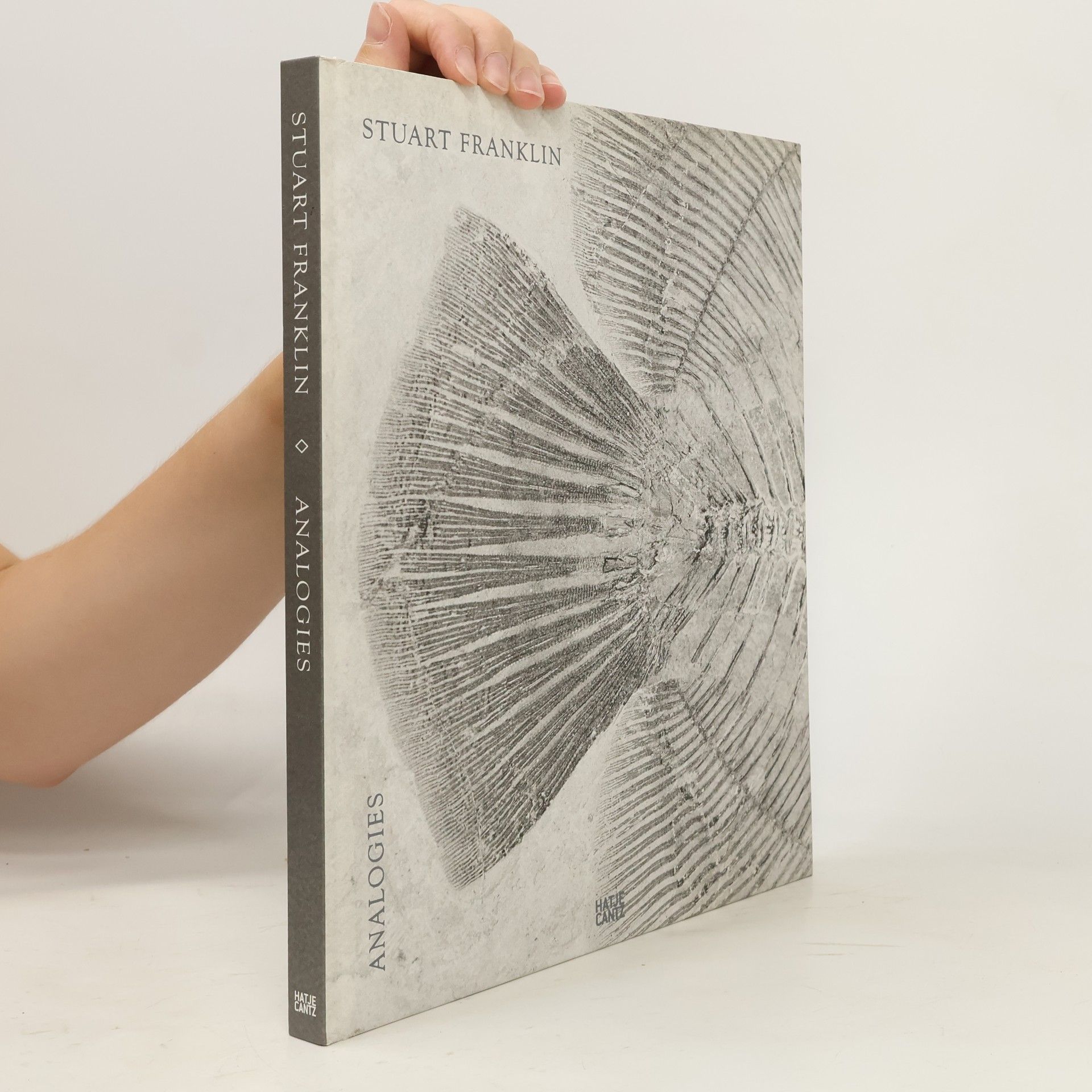Stuart Franklin Stuart Franklin. Analogies