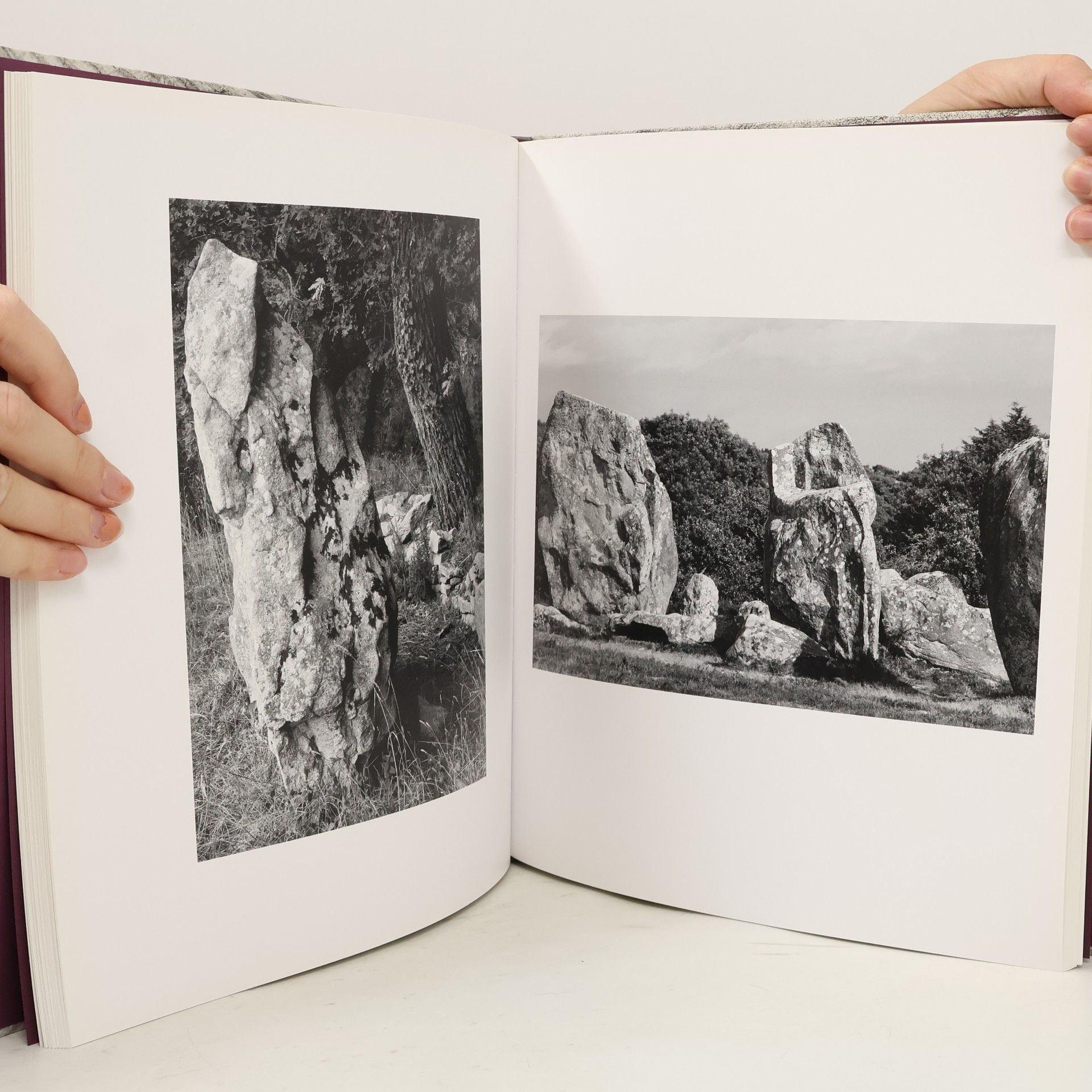 Stuart Franklin Stuart Franklin. Analogies