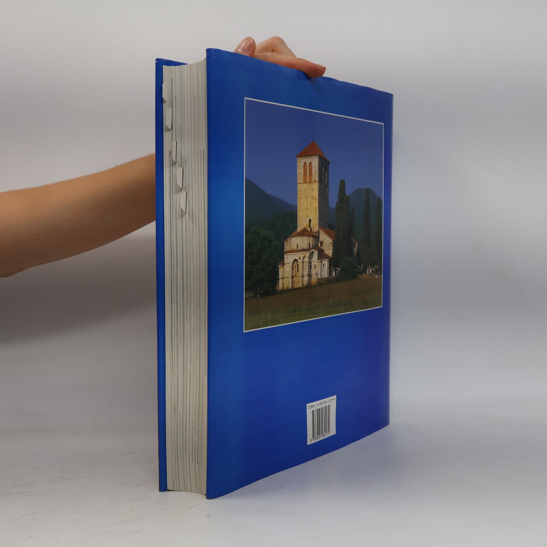 Rolf Toman Die Kunst der Romanik : Architektur, Skulptur, Malerei