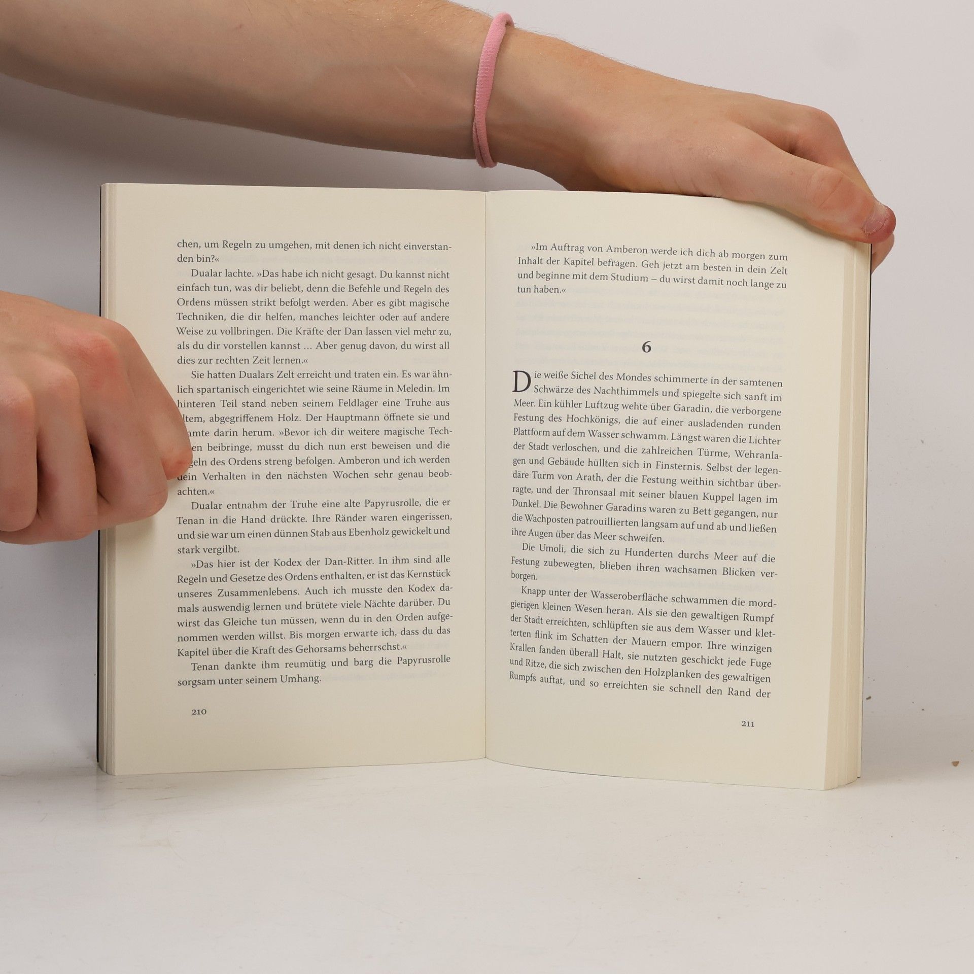 Marcus Reichard Der Ruf der Finsternis. Roman