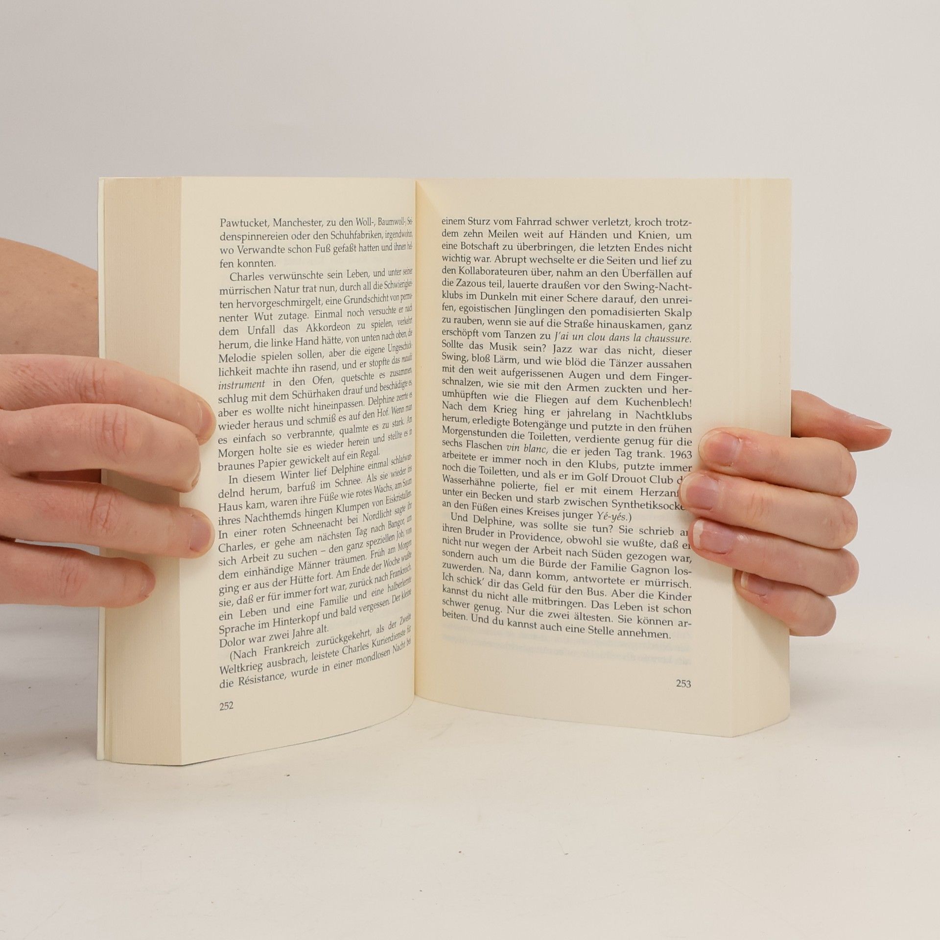 Annie Proulx Das grüne Akkordeon