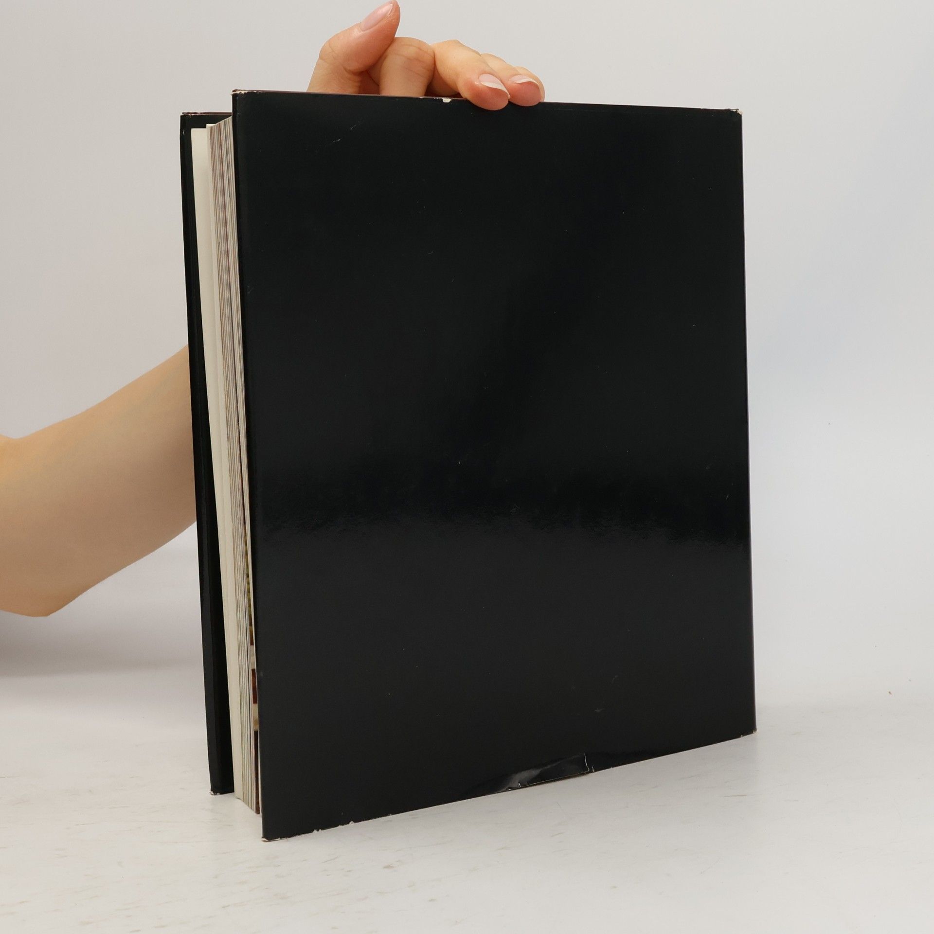 Franz Maier-Bruck Das Große Sacher Kochbuch