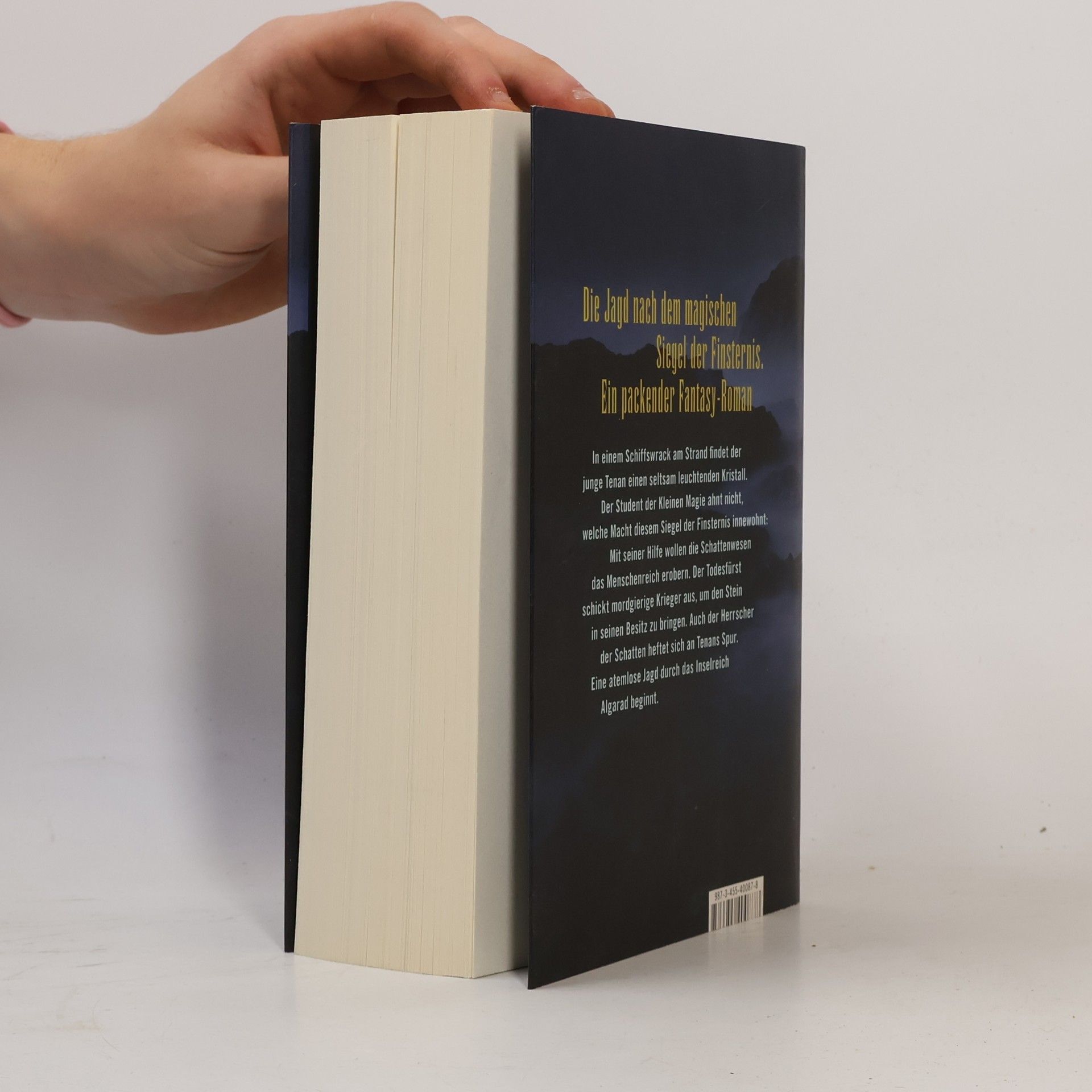 Marcus Reichard Das Siegel der Finsternis