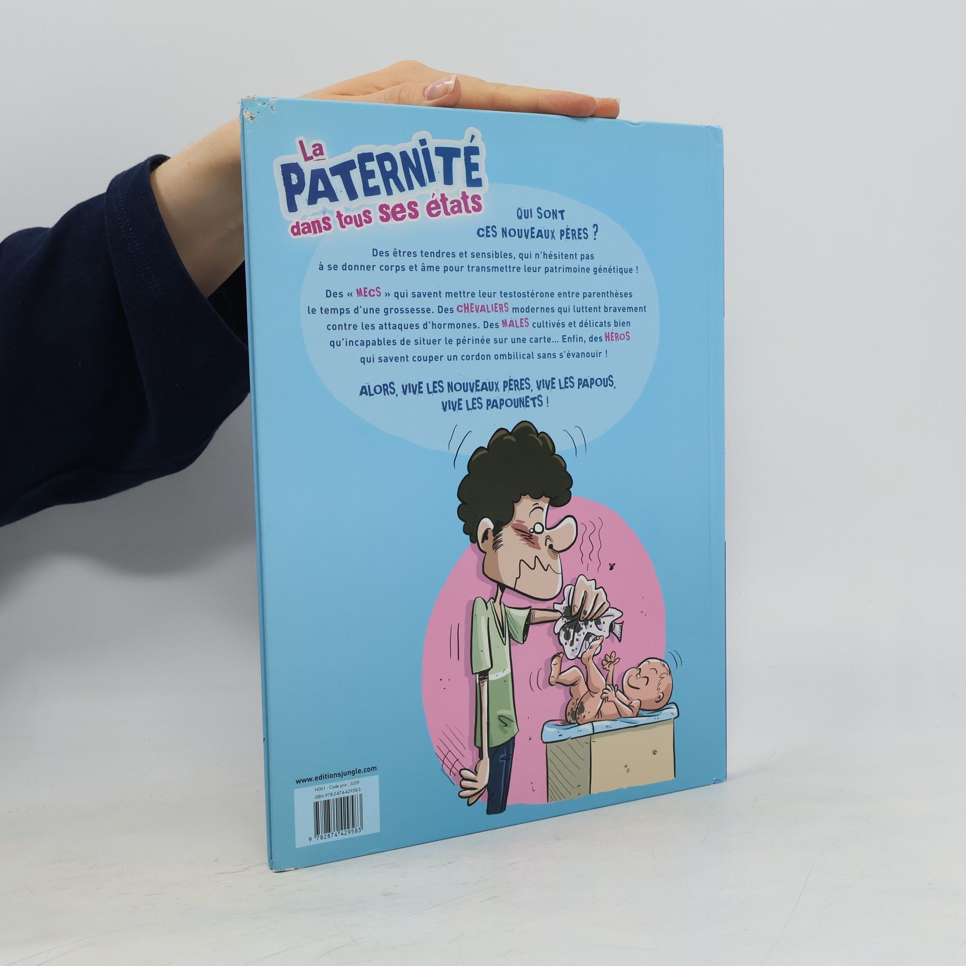 Sophie de Villenoisy La Paternité dans tous ses états