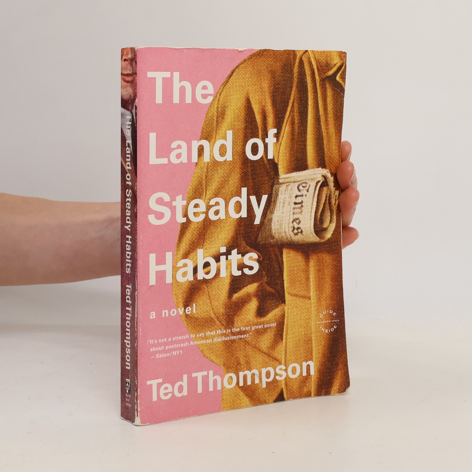 Ted Thompson The Land of Steady Habits