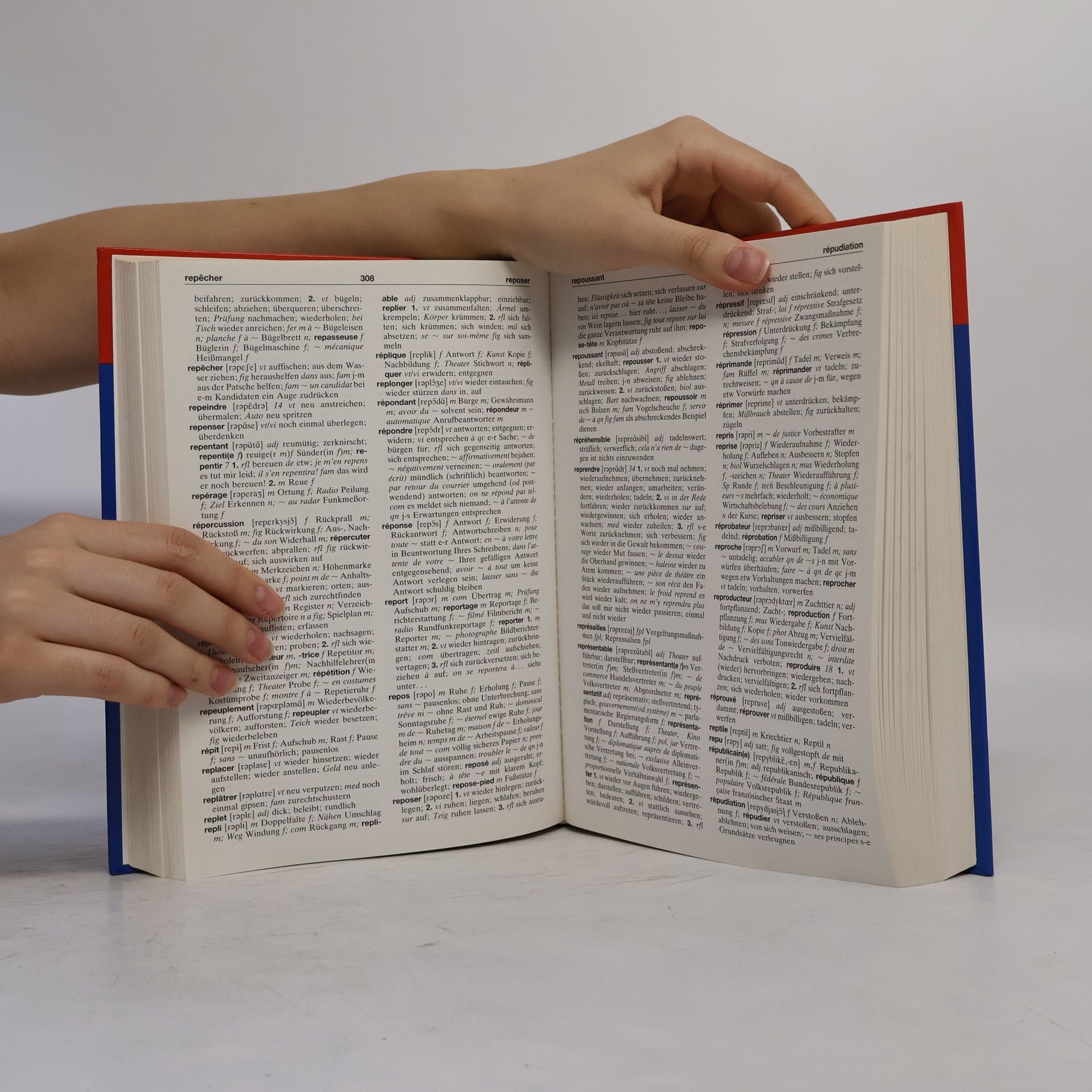 kolektiv Wörterbuch. Französisch Deutsch - Deutsch Französisch