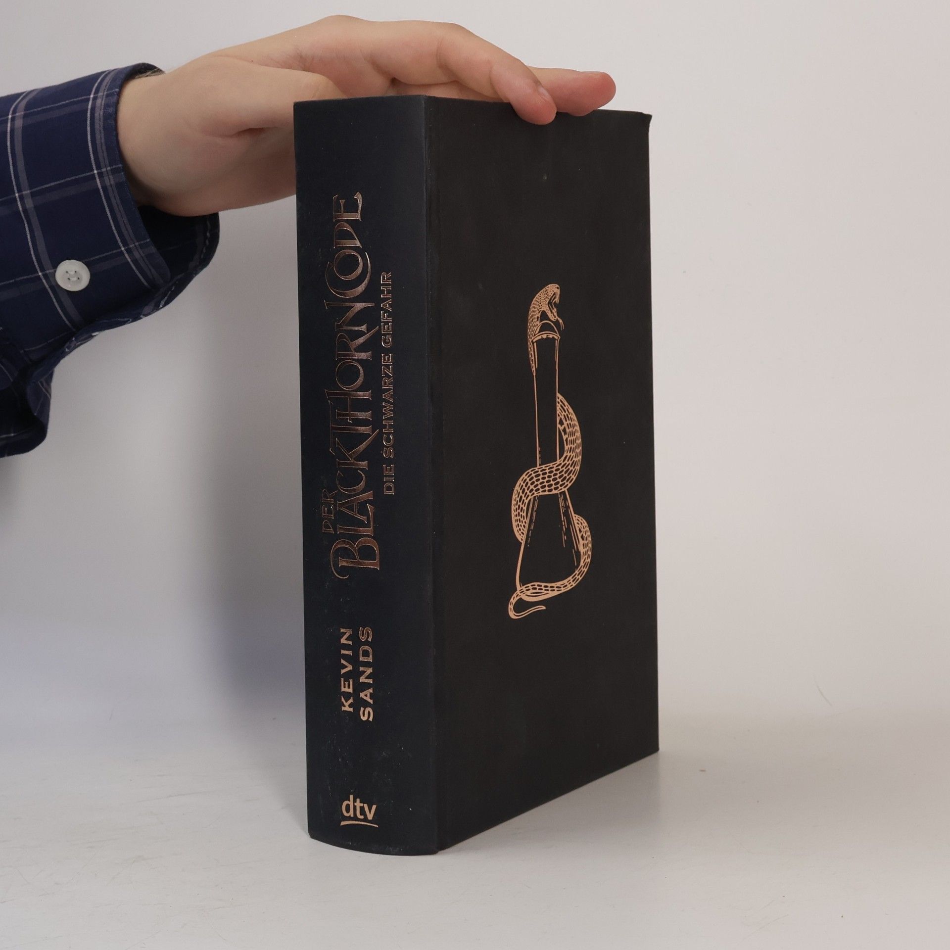 Kevin Sands Der Blackthorn Code - die schwarze Gefahr