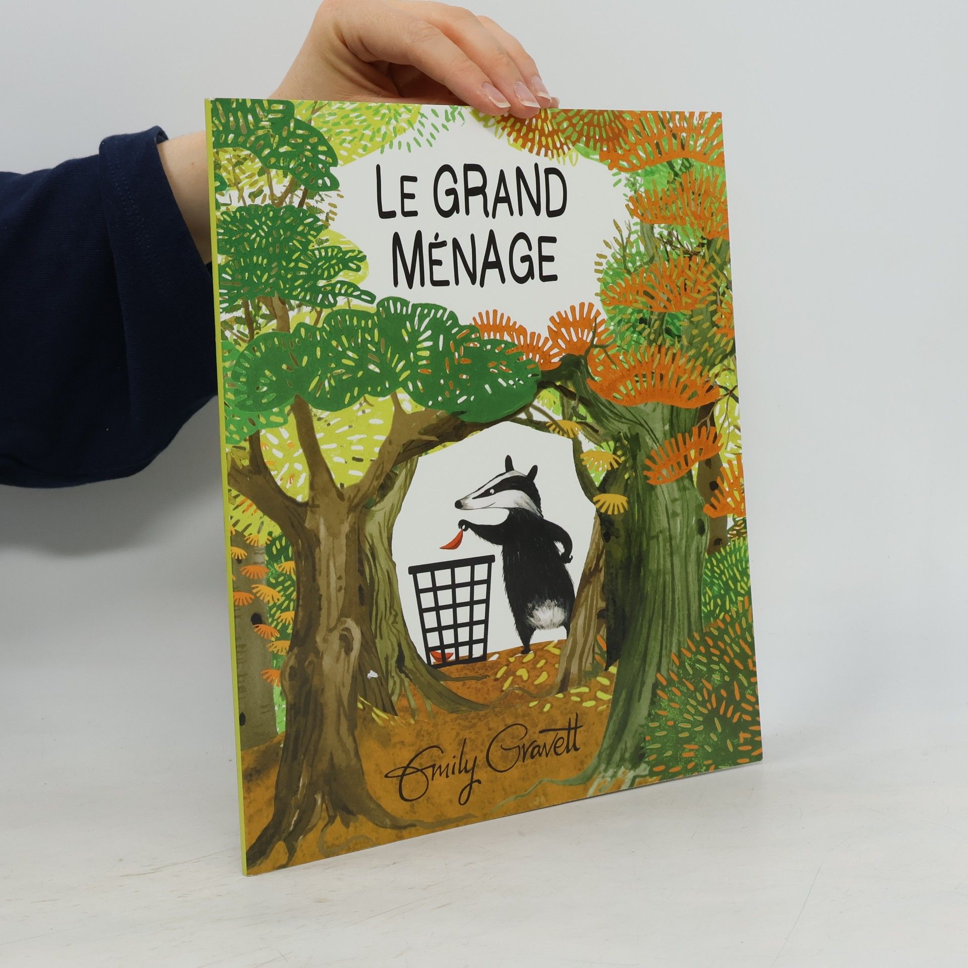 Emily Gravett Le grand ménage