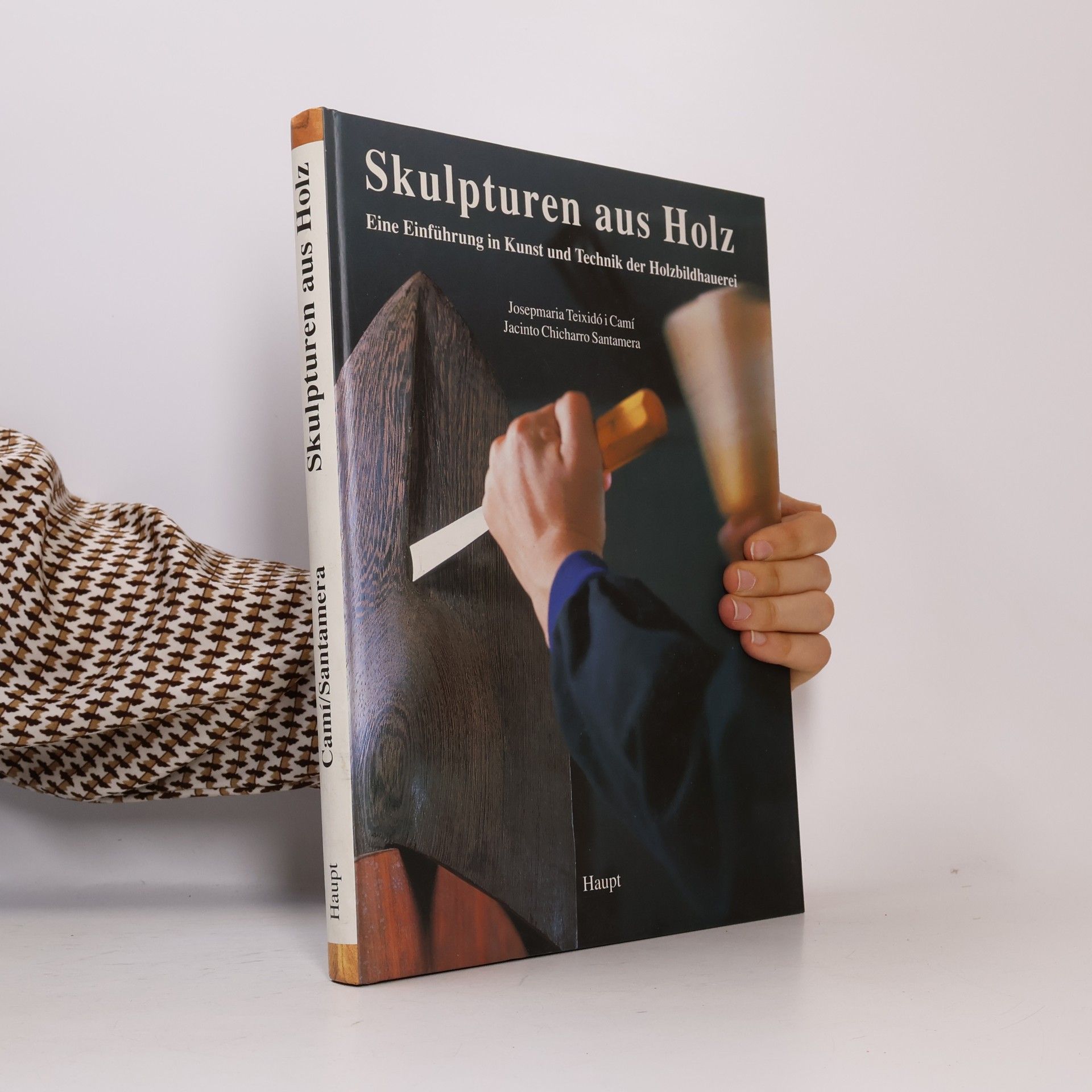 Josepmaria Teixidó i Camí Skulpturen aus Holz