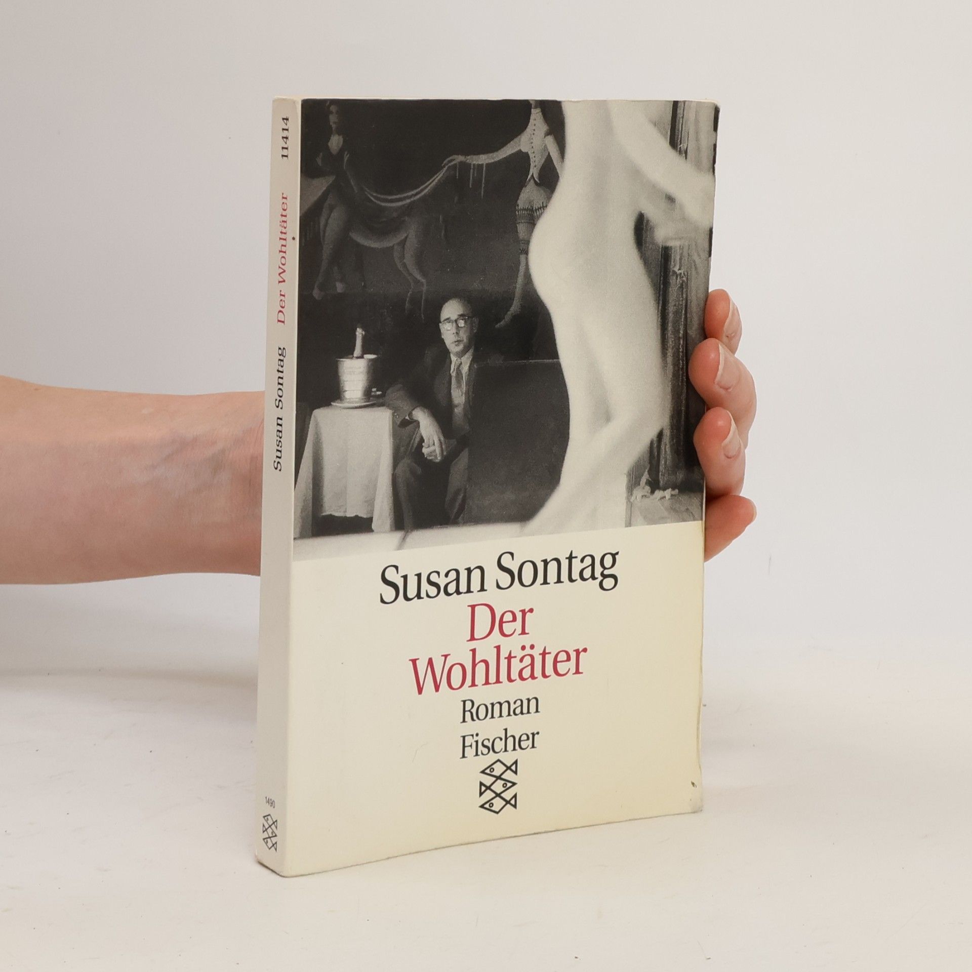 Susan Sontag Der Wohltäter