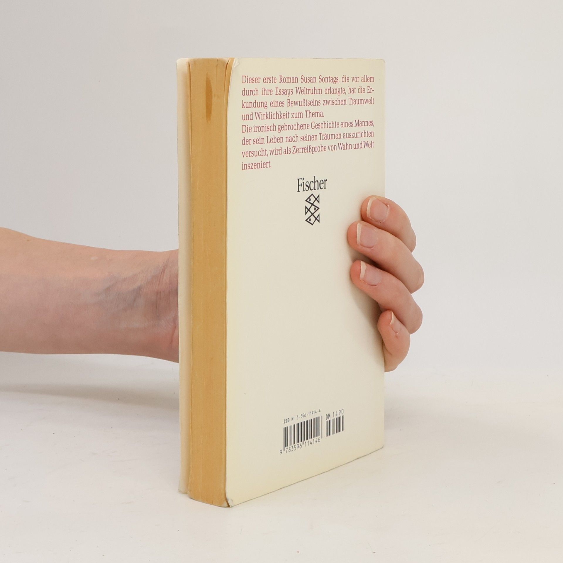 Susan Sontag Der Wohltäter