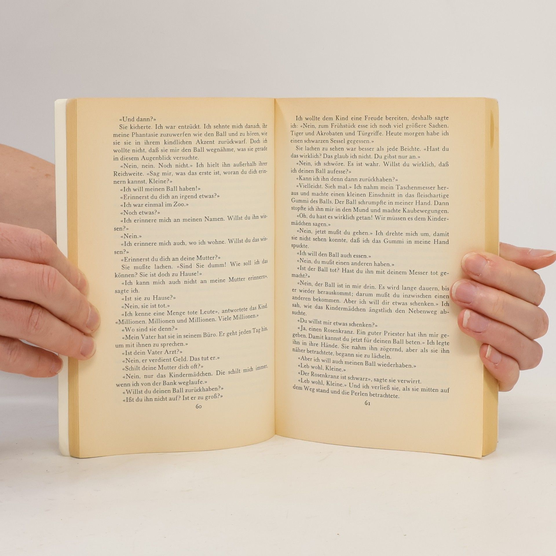 Susan Sontag Der Wohltäter
