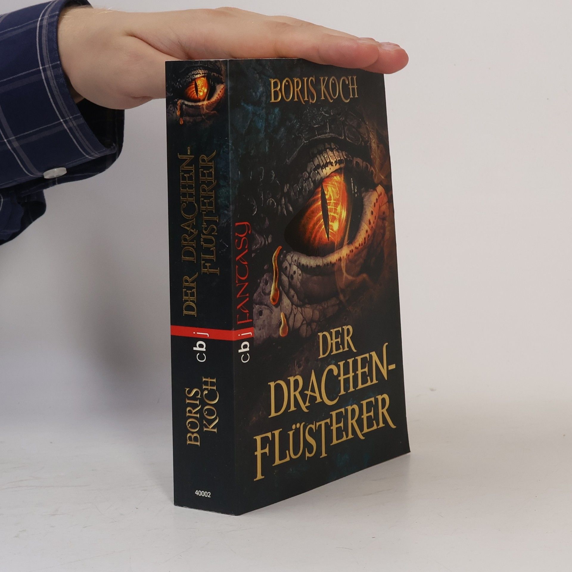 Boris Koch Der Drachenflüsterer