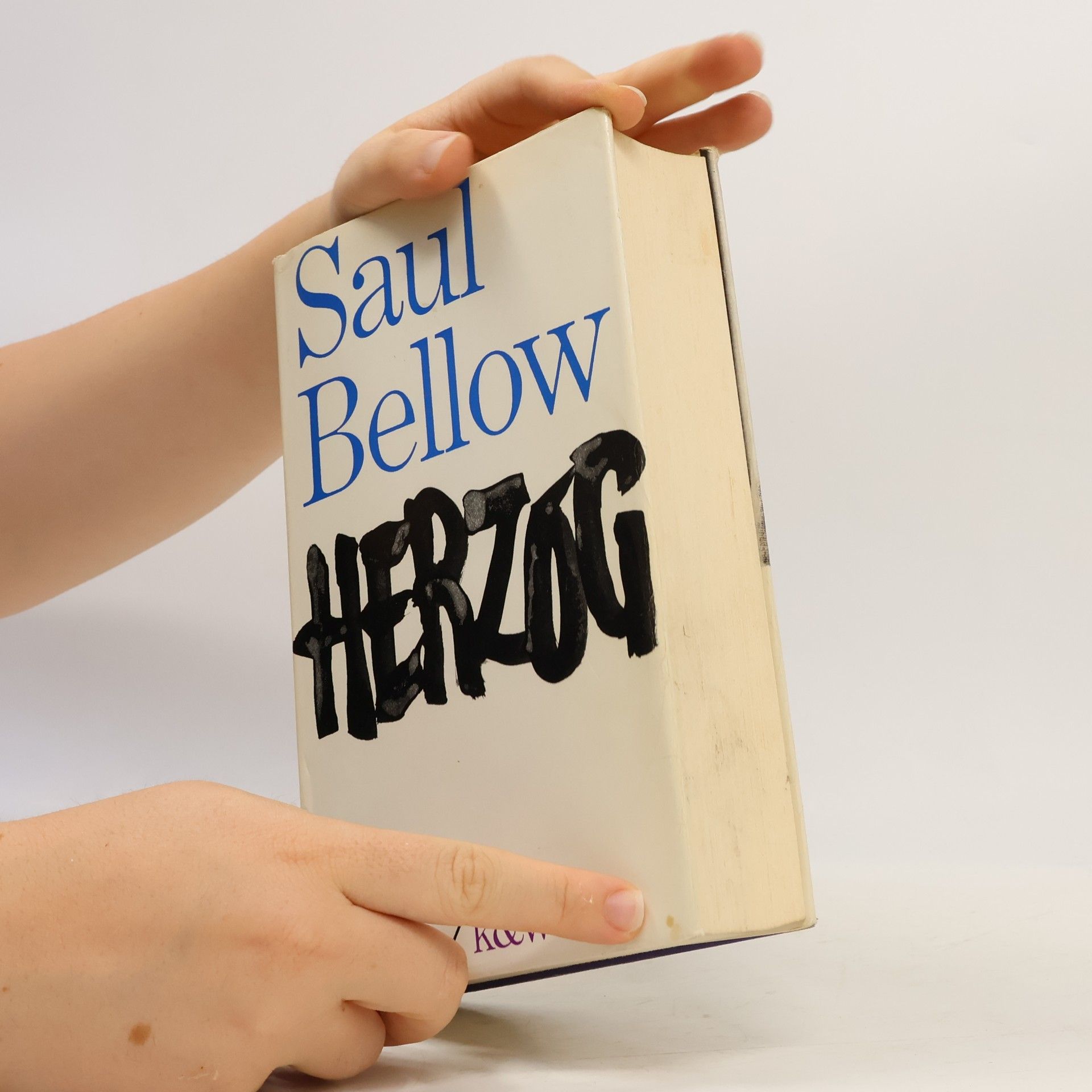 Saul Bellow Herzog