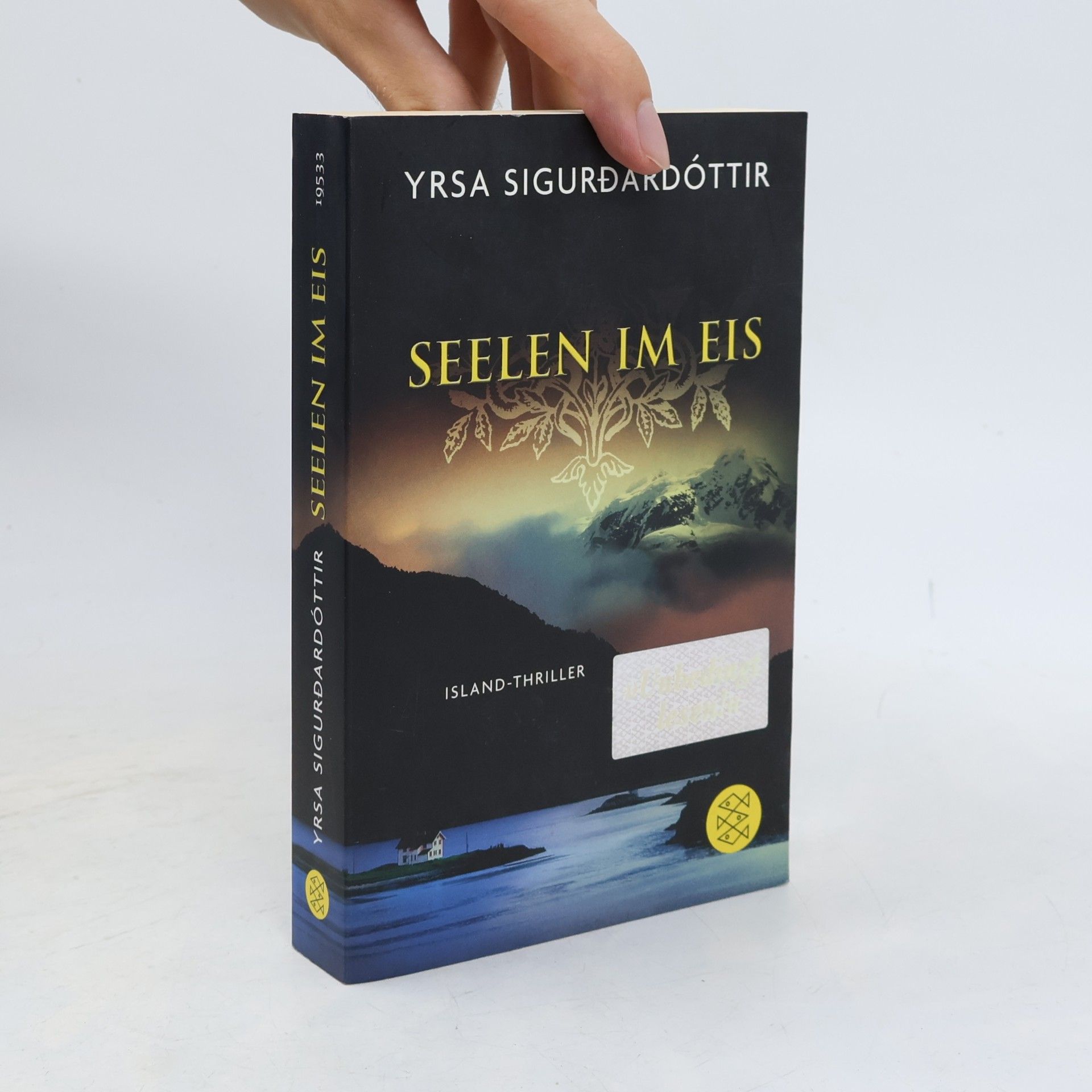 Yrsa Sigurðardóttir Seelen im Eis