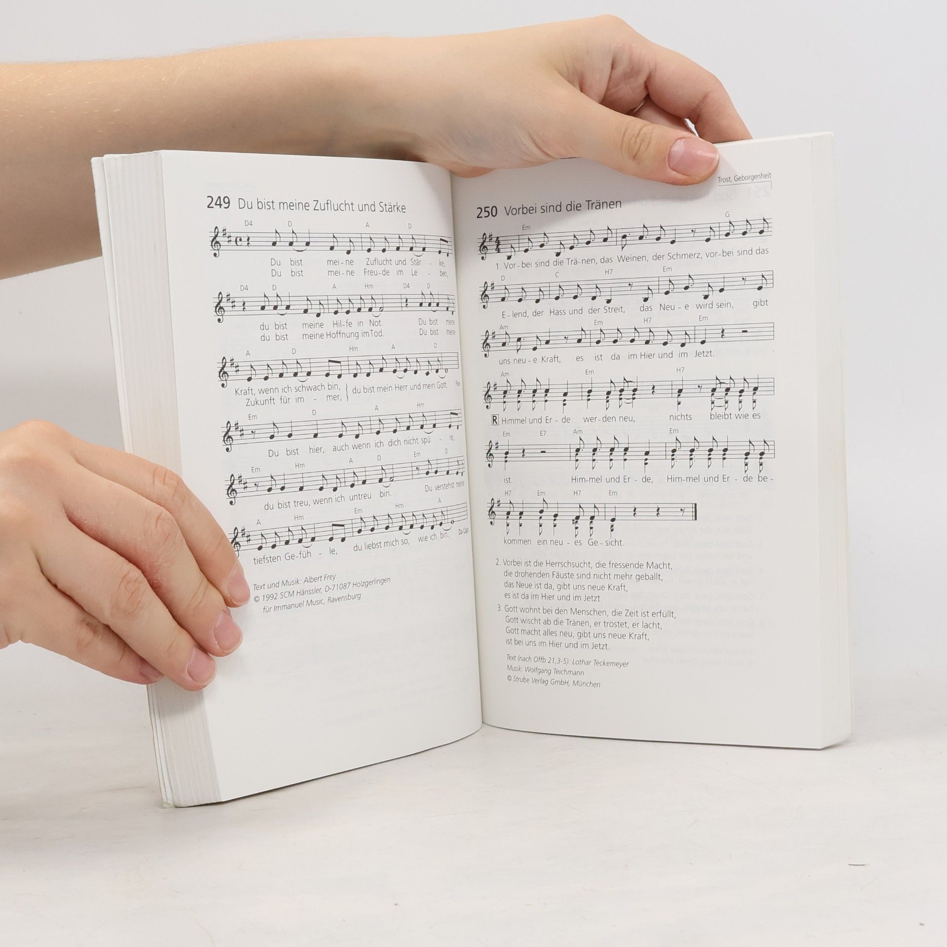 Peter Böhlemann Das Liederbuch, lieder zwischen himmel und erde