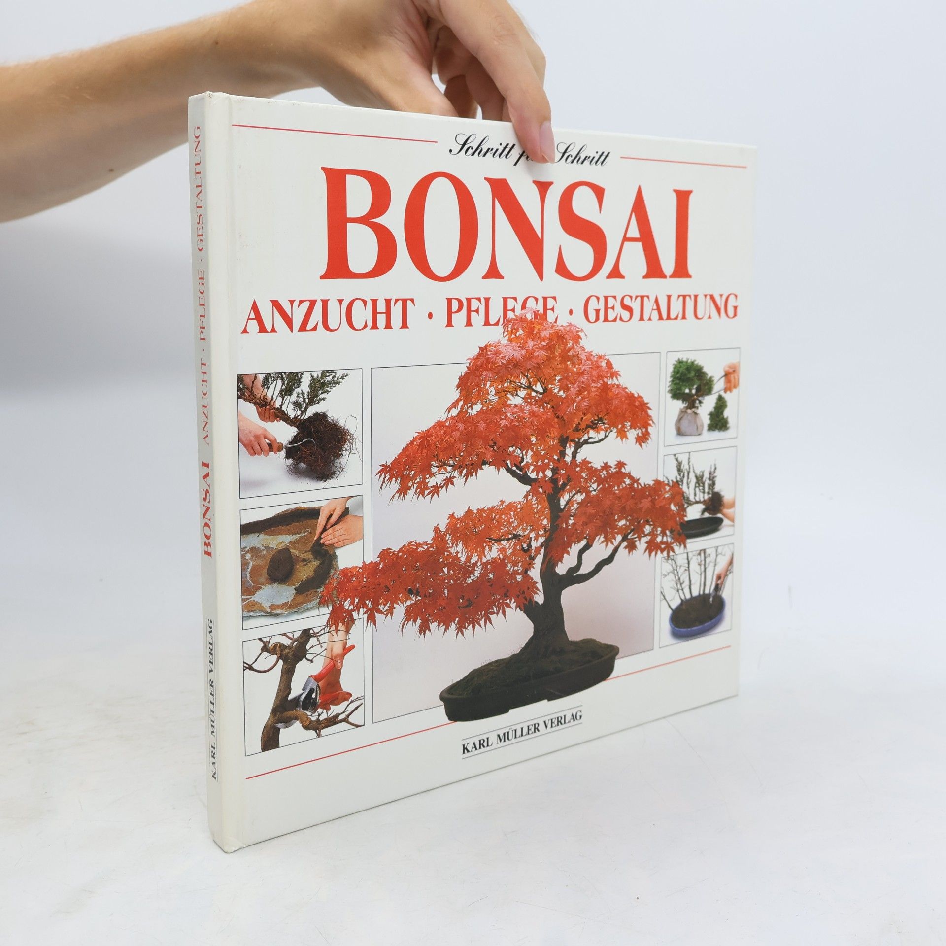 Bonsai