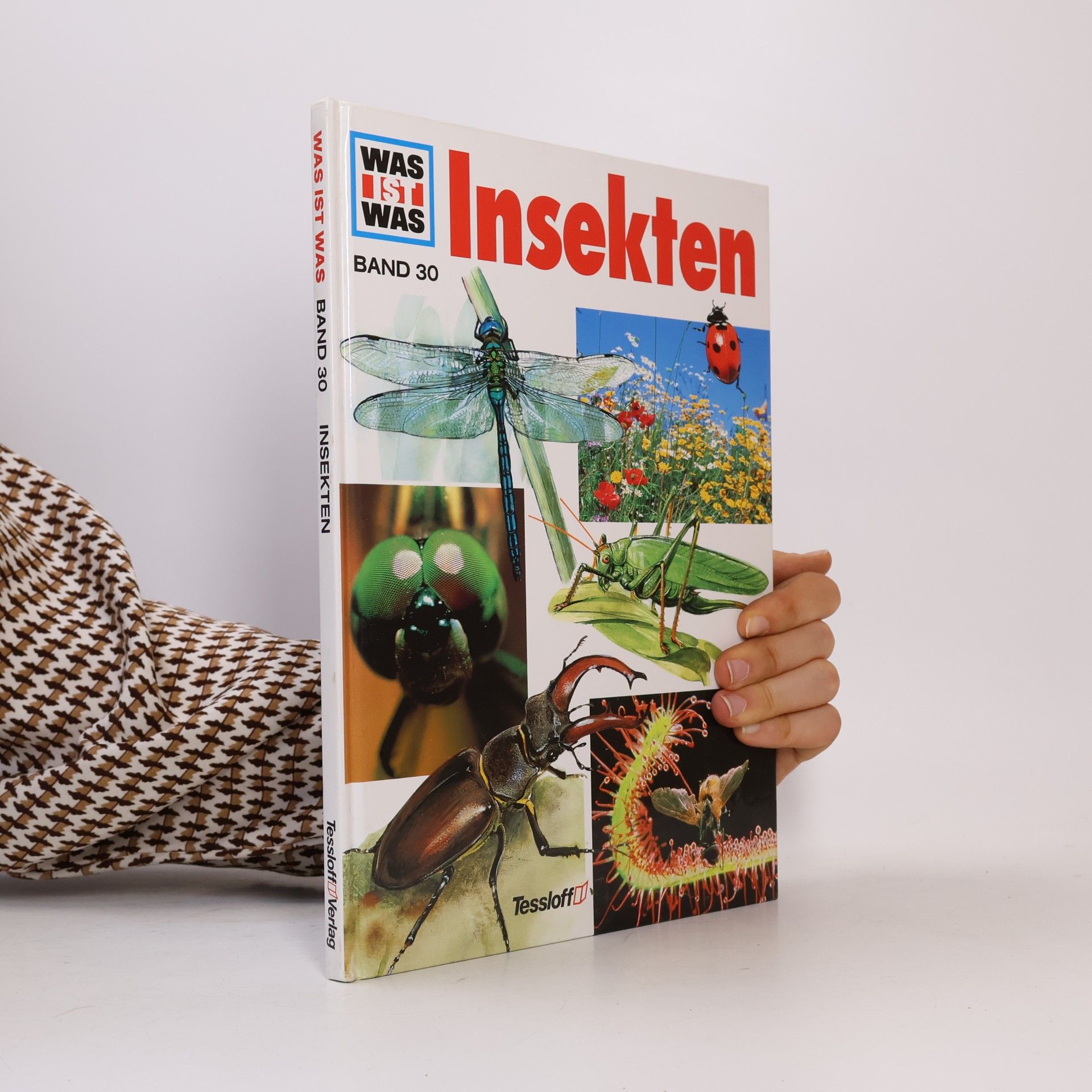 Sabine Steghaus Kovac Insekten
