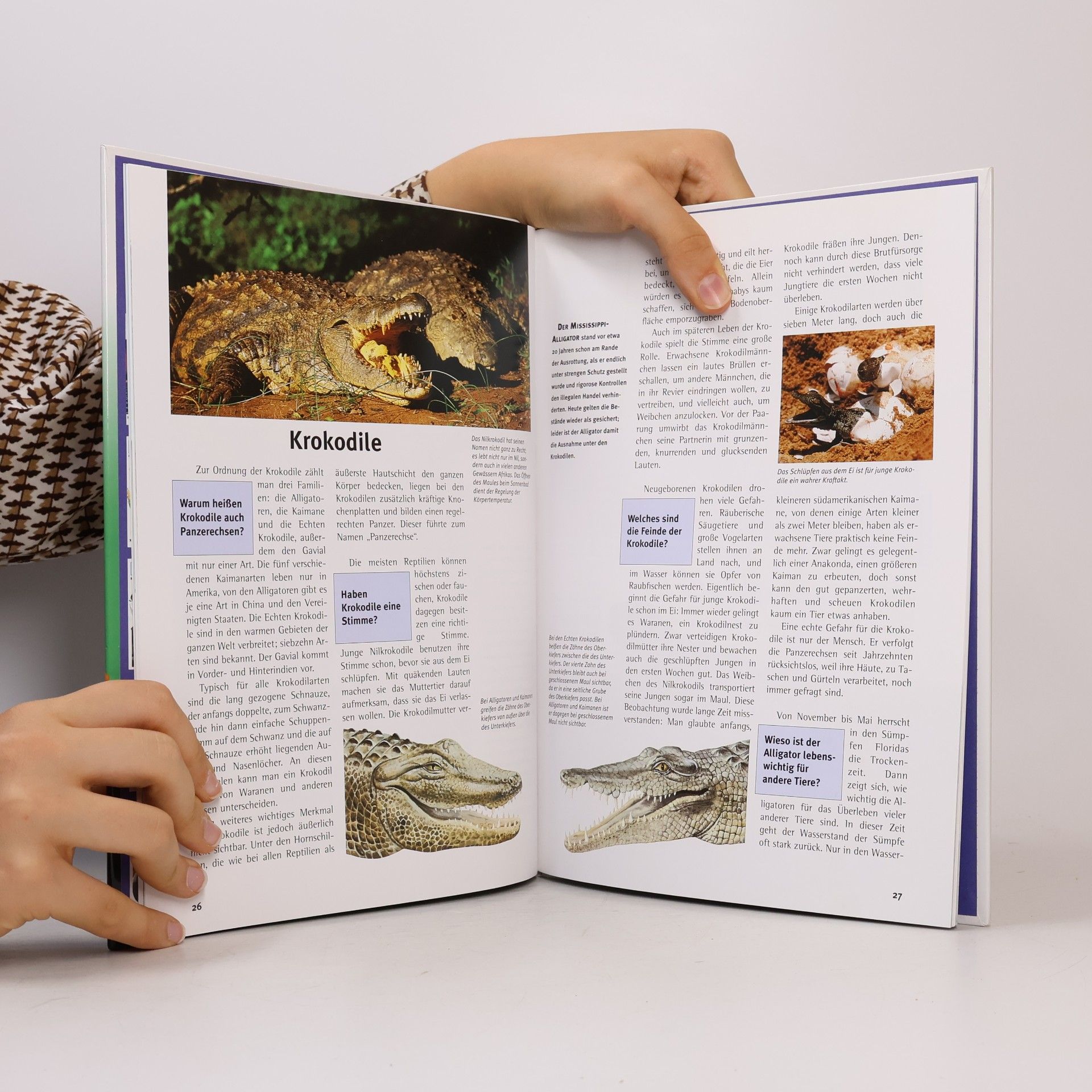 Manfred Niekisch Reptilien und Amphibien