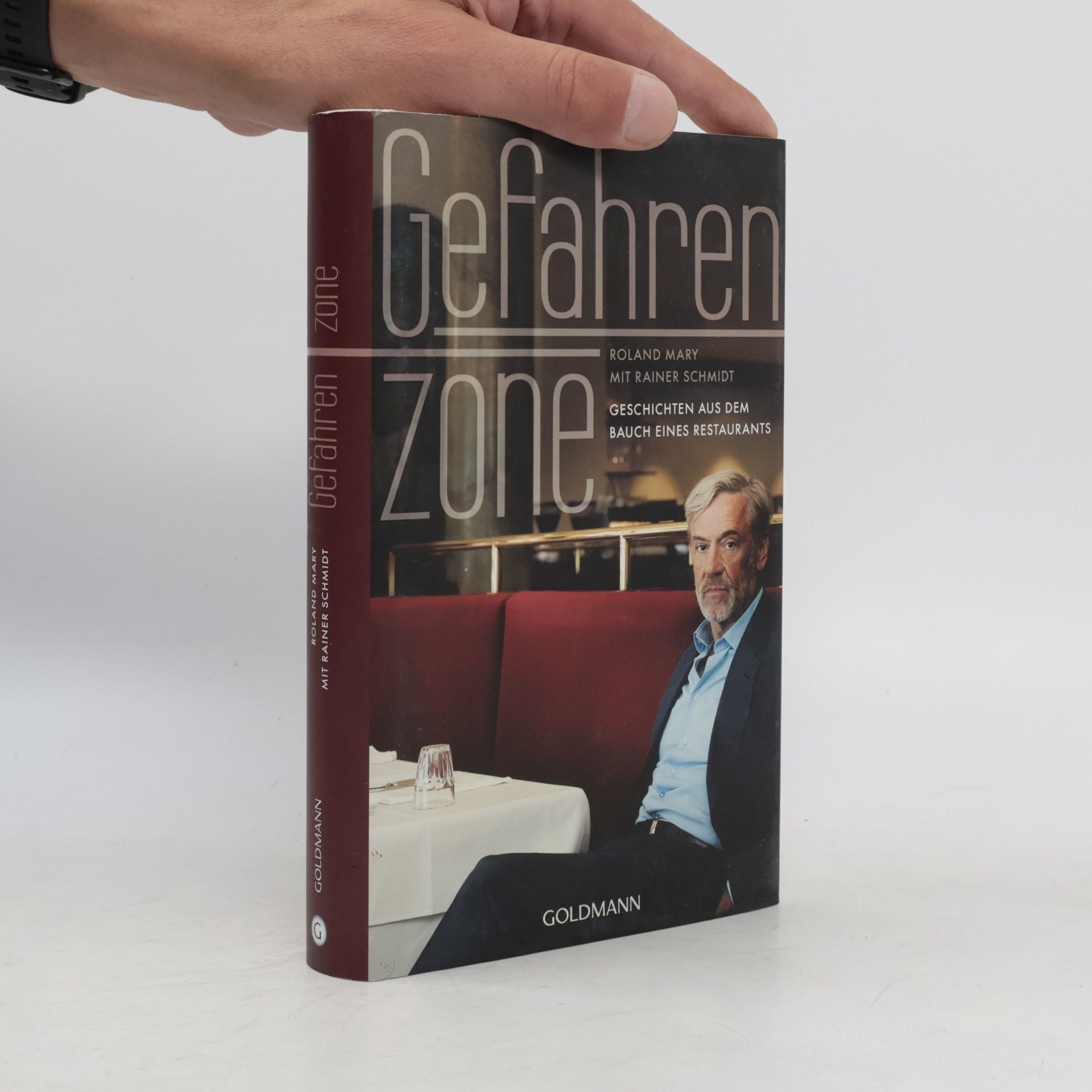 Rainer Schmidt Gefahren Zone