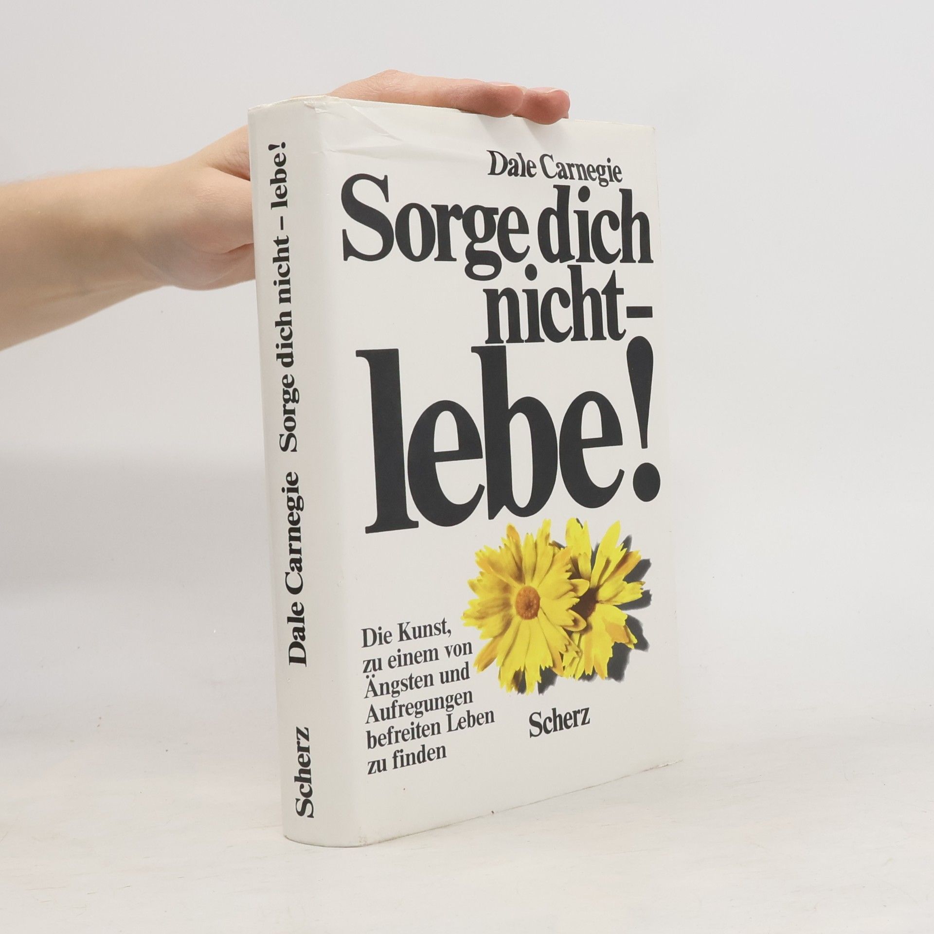 Dale Carnegie Sorge dich nicht - lebe!