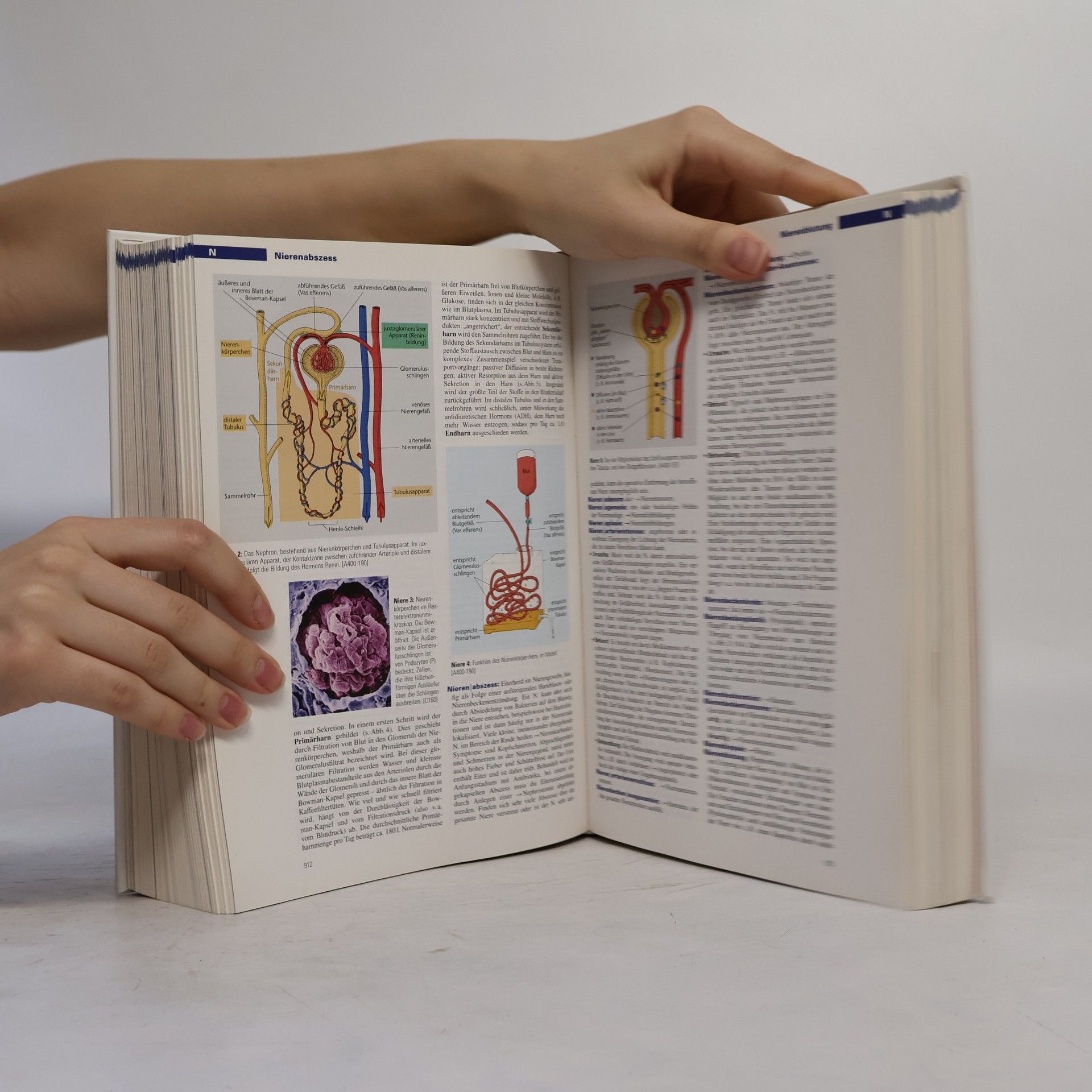 Stefan Dierkes Der Gesundheits-Brockhaus