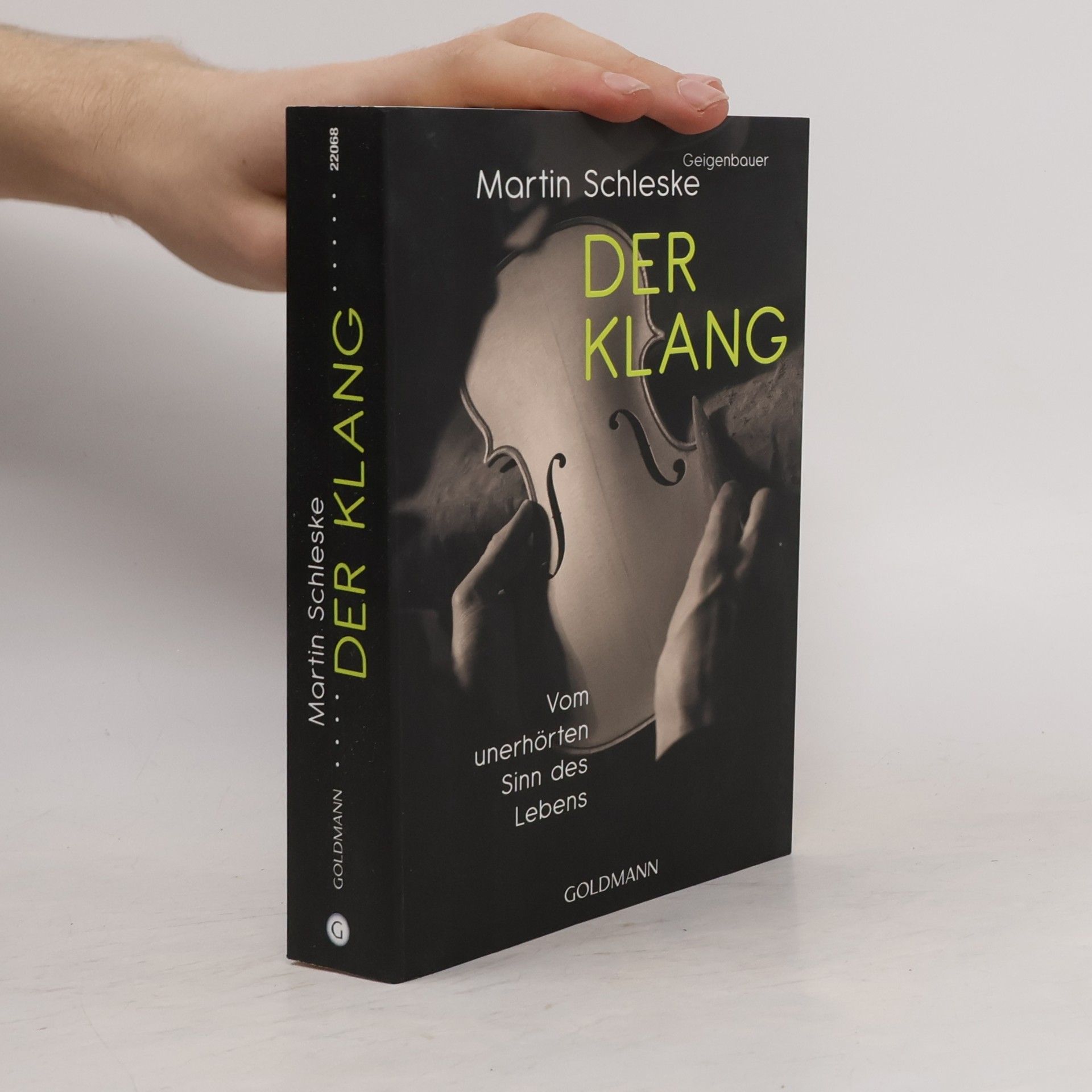 Martin Schleske Der Klang