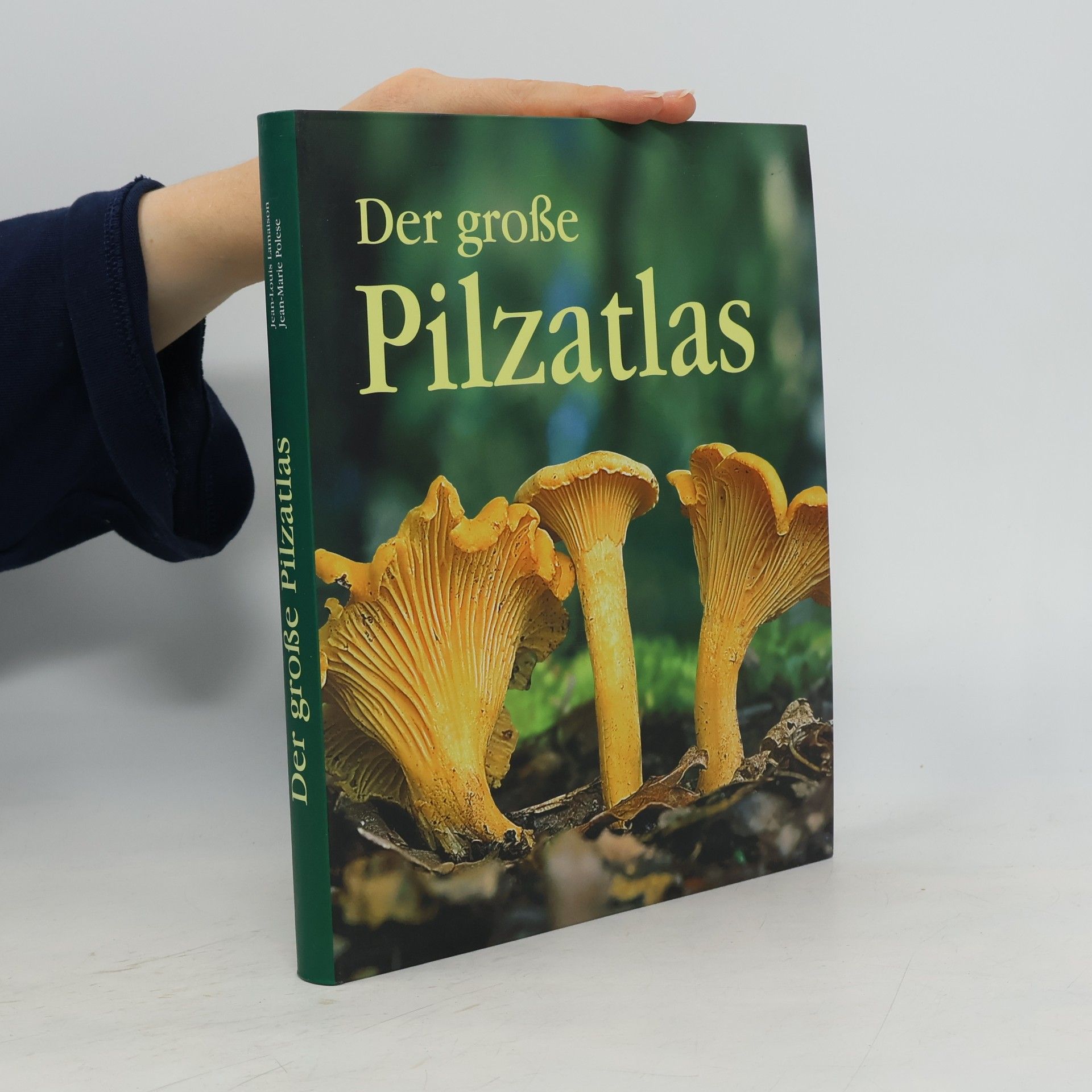 Der große Pilzatlas