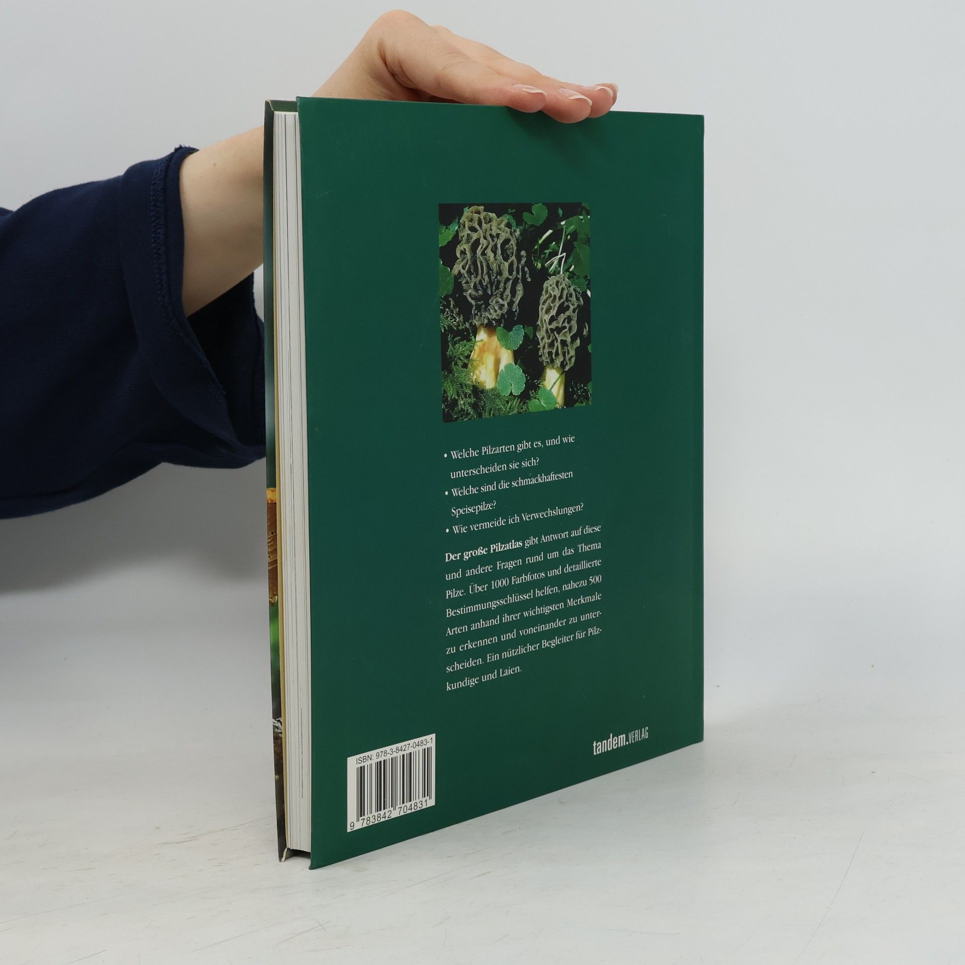 Jean- Louis Lamaison Der große Pilzatlas