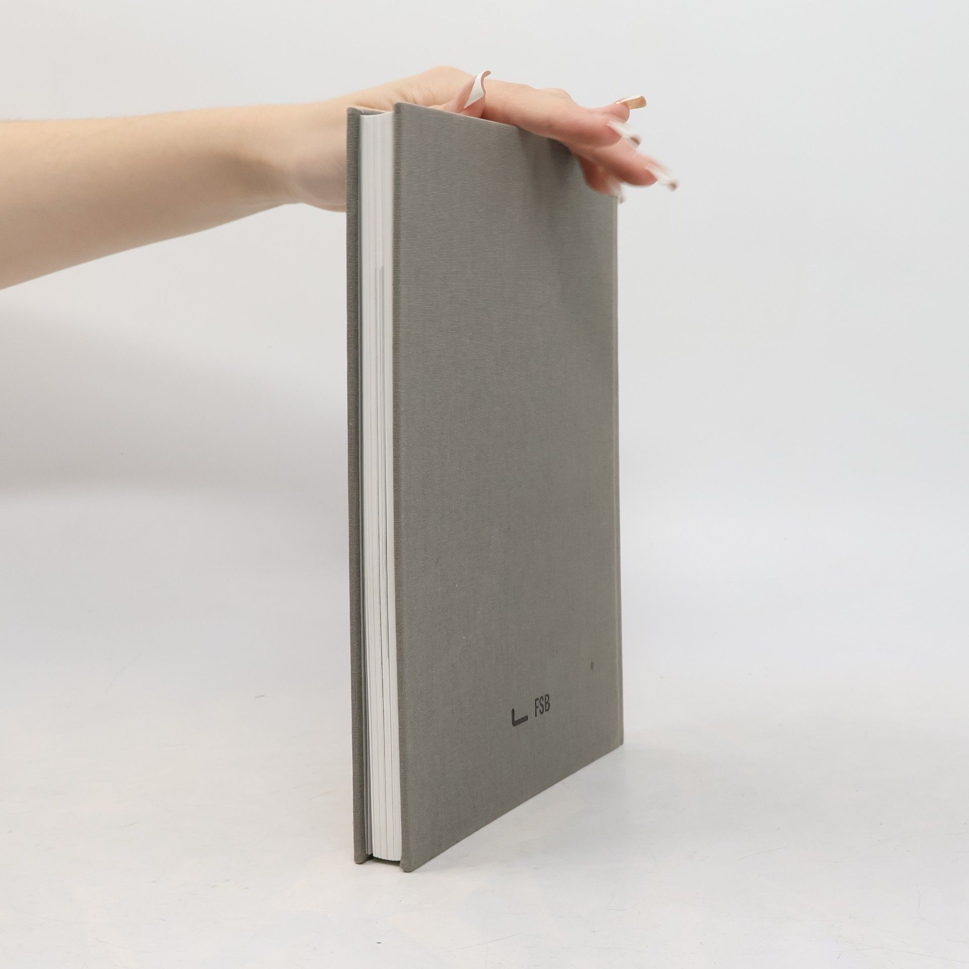 Eduardo Souto de Moura Ein Haus braucht ein Zentrum