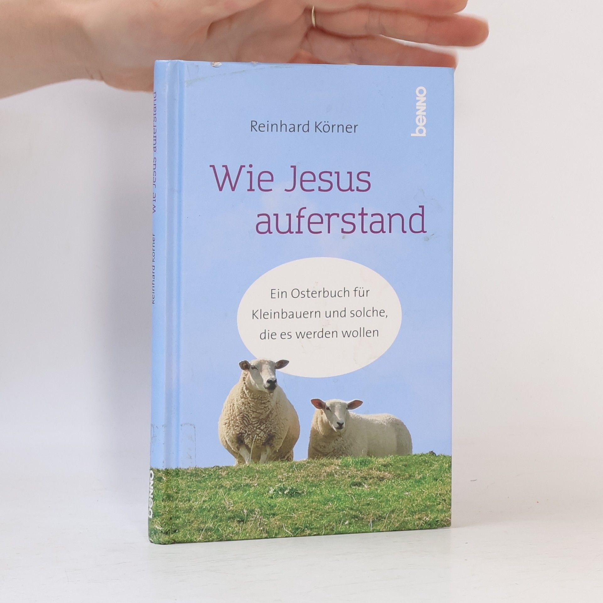 Reinhard Körner Wie Jesus auferstand