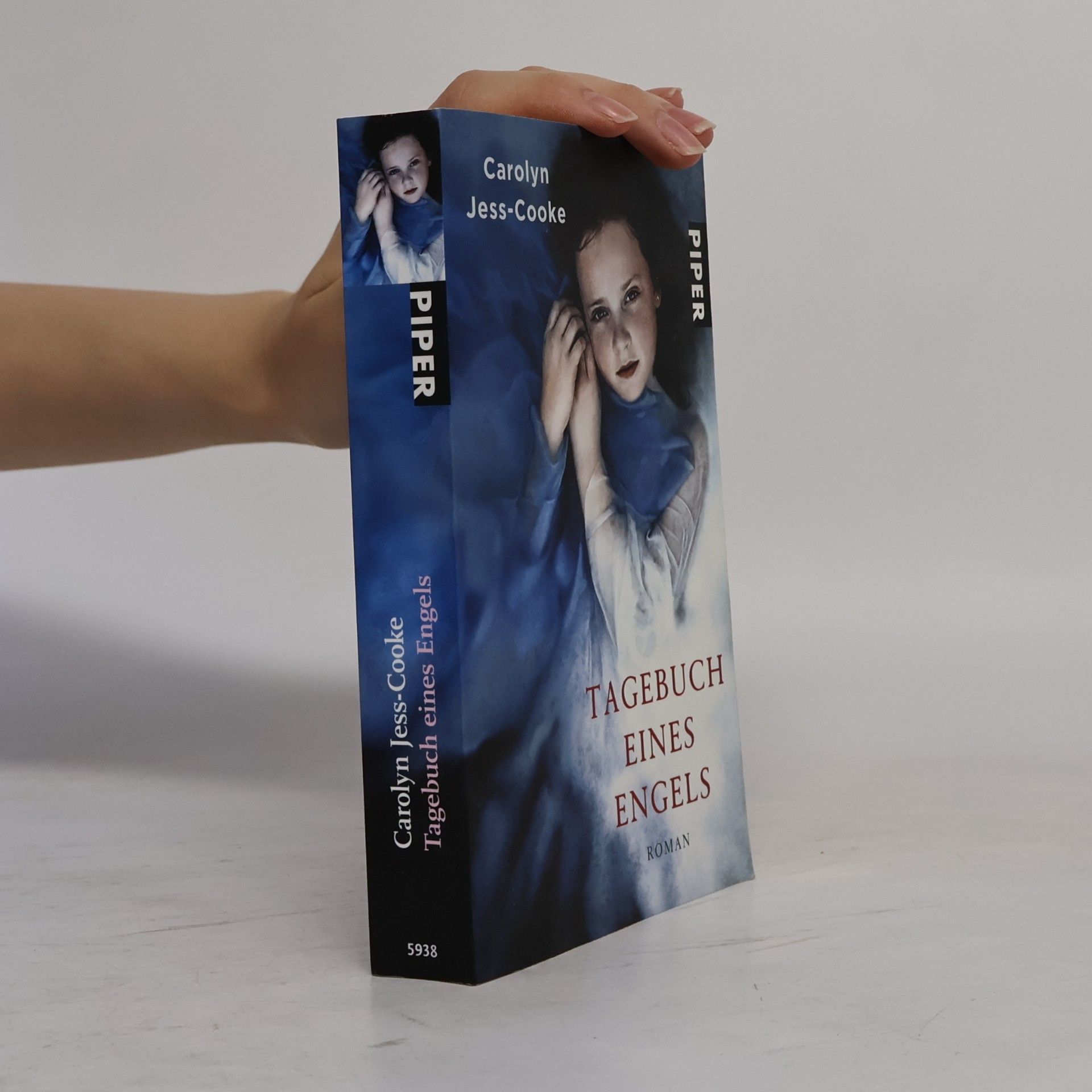 Carolyn Jess-Cooke Tagebuch eines Engels (Deník anděla)