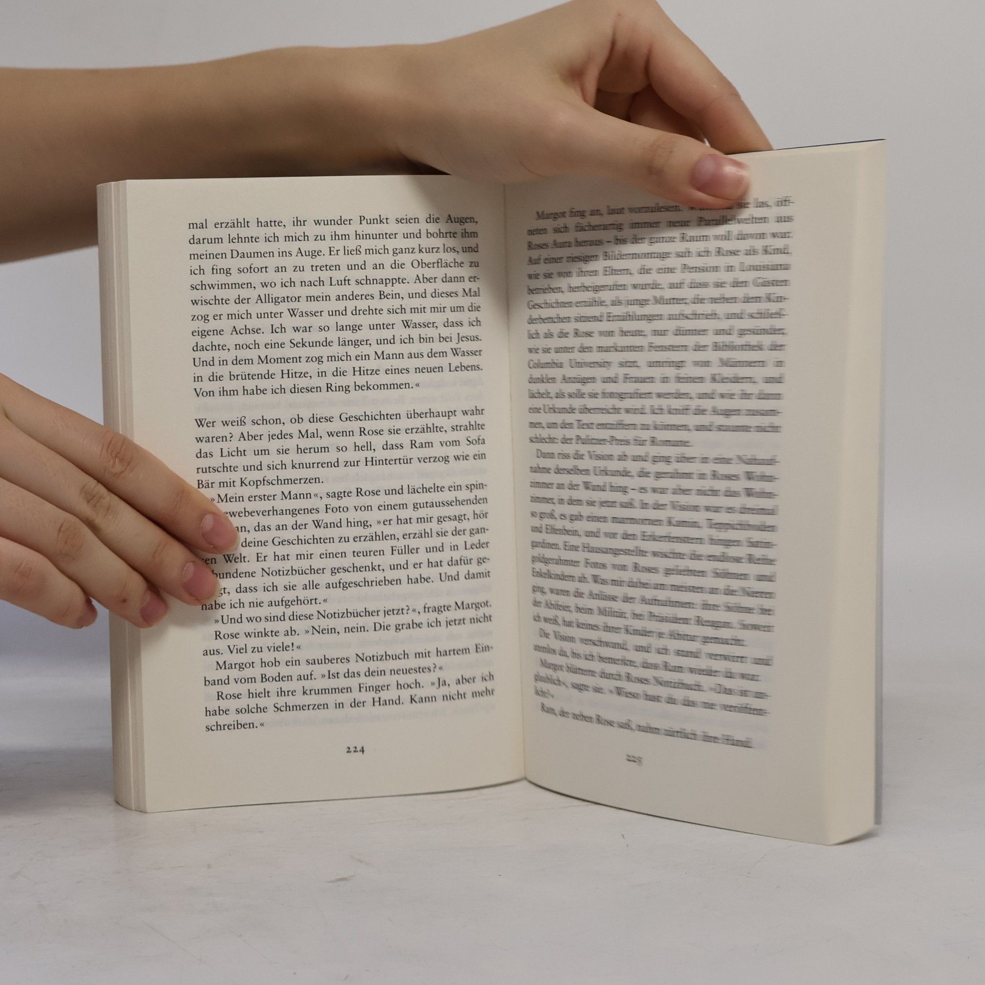 Carolyn Jess-Cooke Tagebuch eines Engels (Deník anděla)