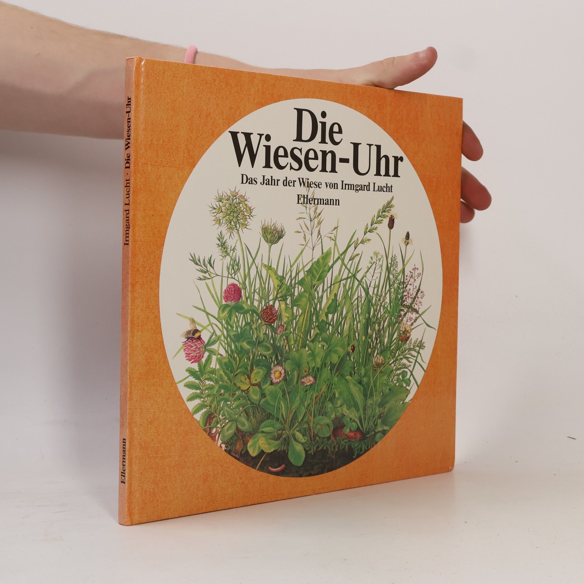 Irmgard Lucht Die Wiesen-Uhr