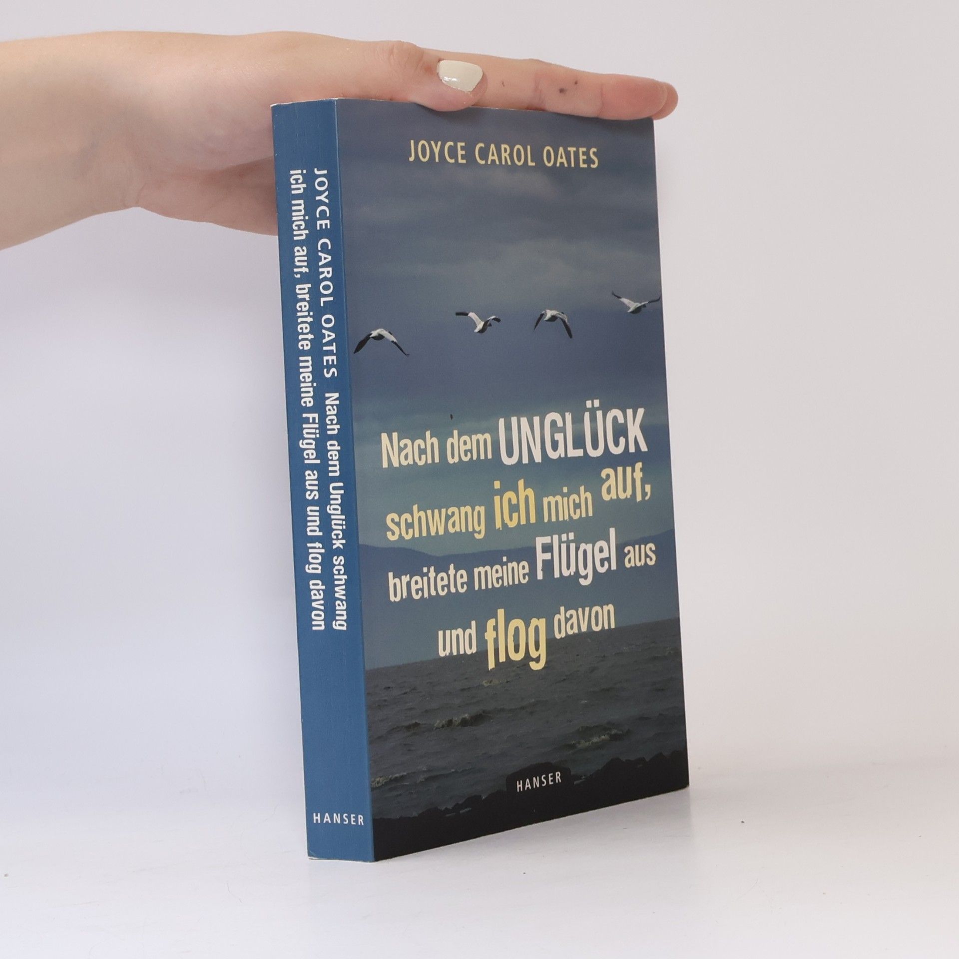 Joyce Carol Oates Nach dem Unglück schwang ich mich auf, breitete meine Flügel aus und flog davon