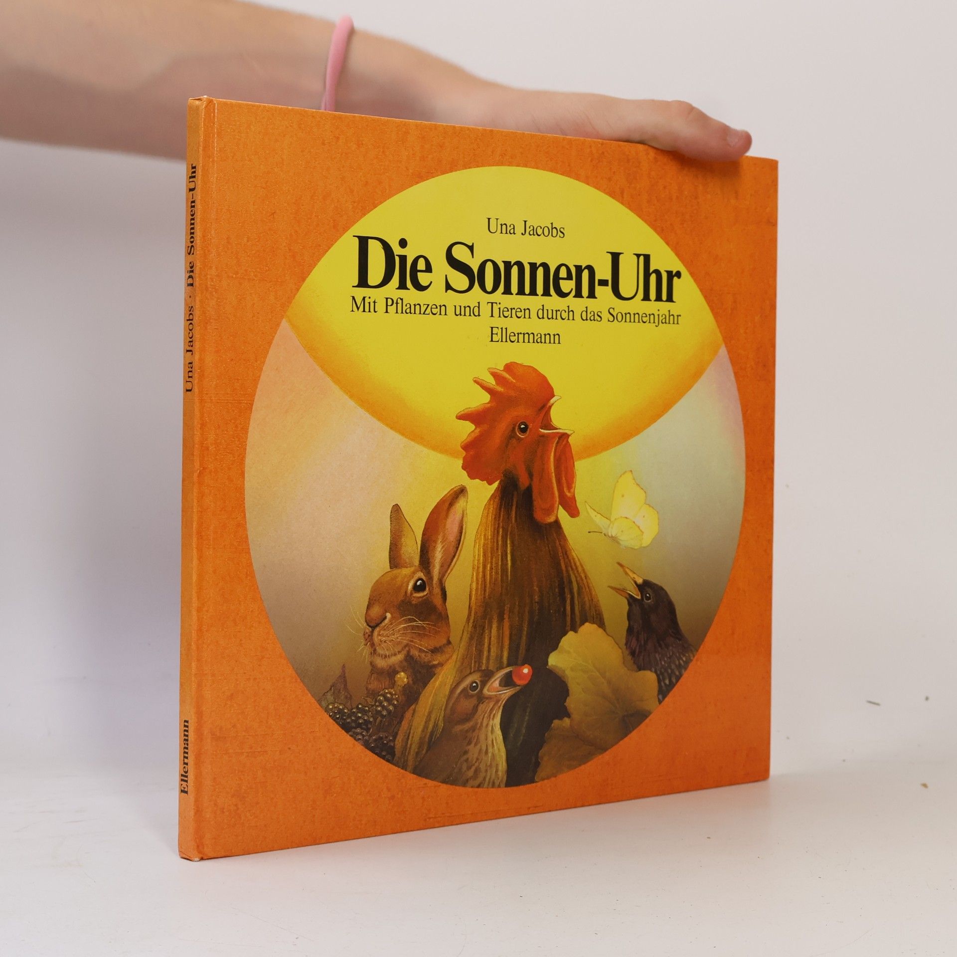 Una Jacobs Die Sonnen-Uhr