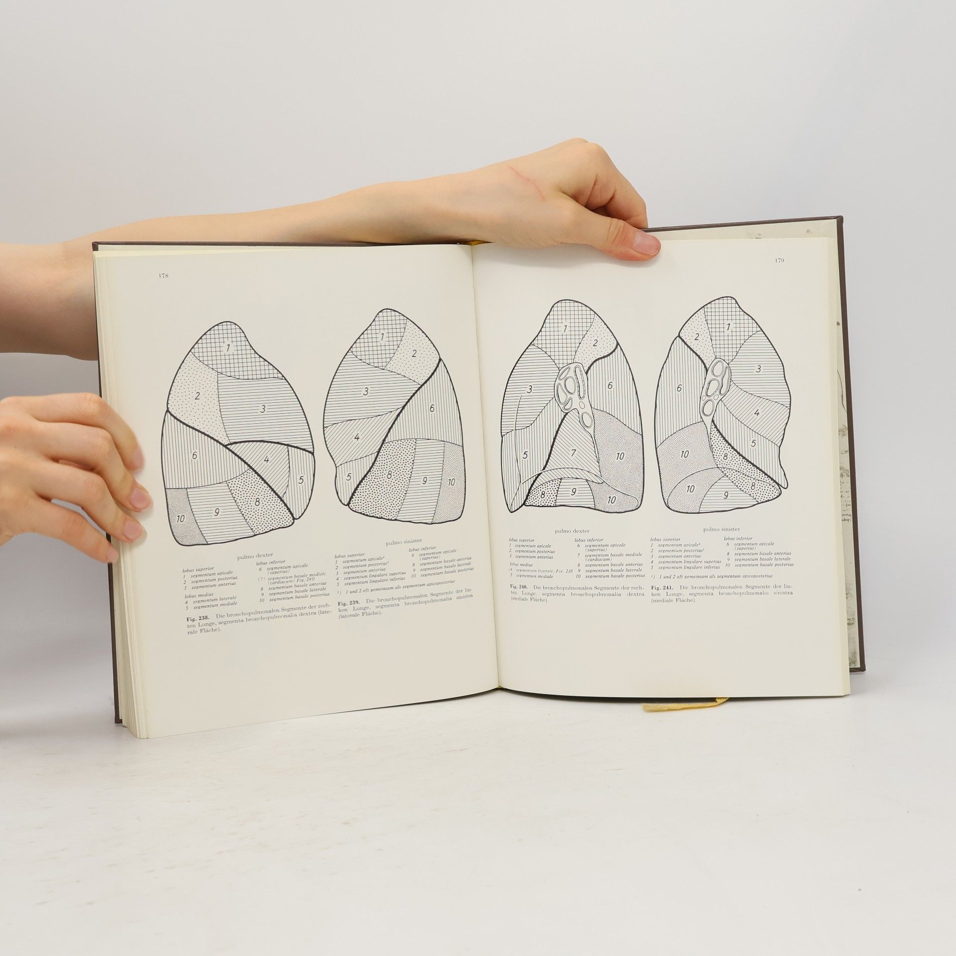 Johannes Sobotta Atlas der Anatomie des Menschen
