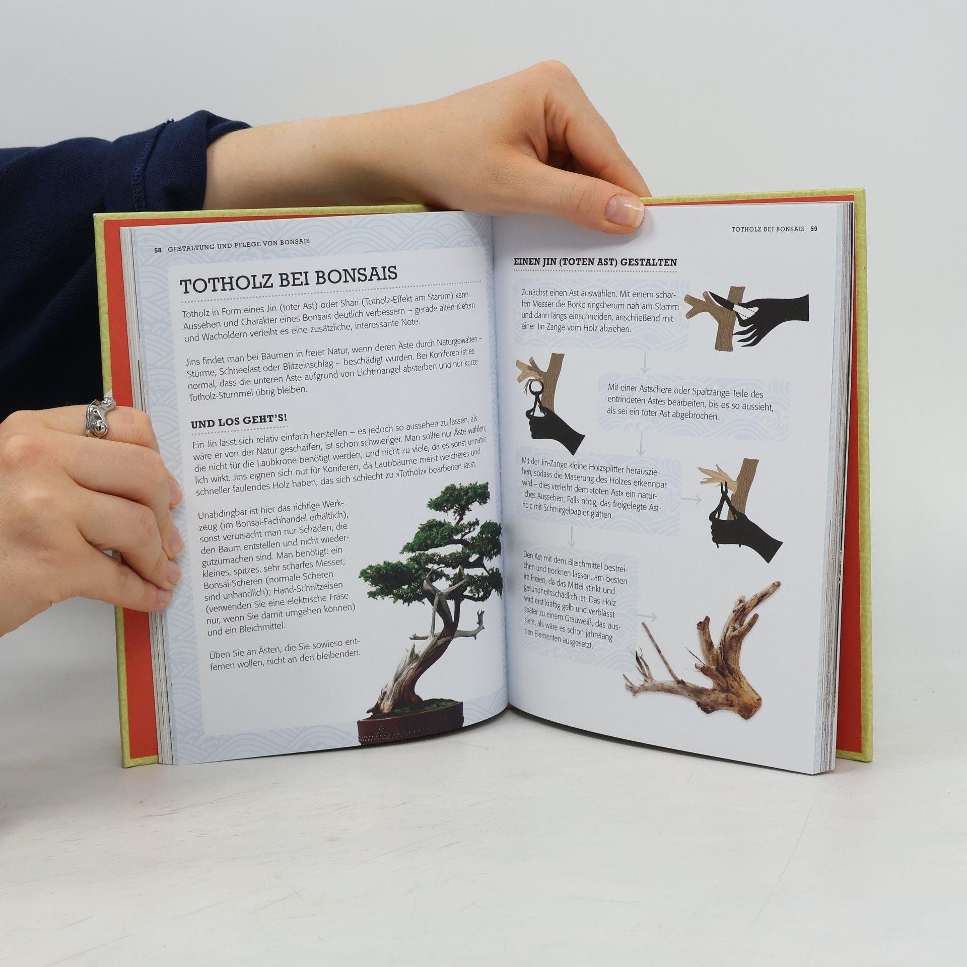 Malcolm Hughes The little book of bonsai