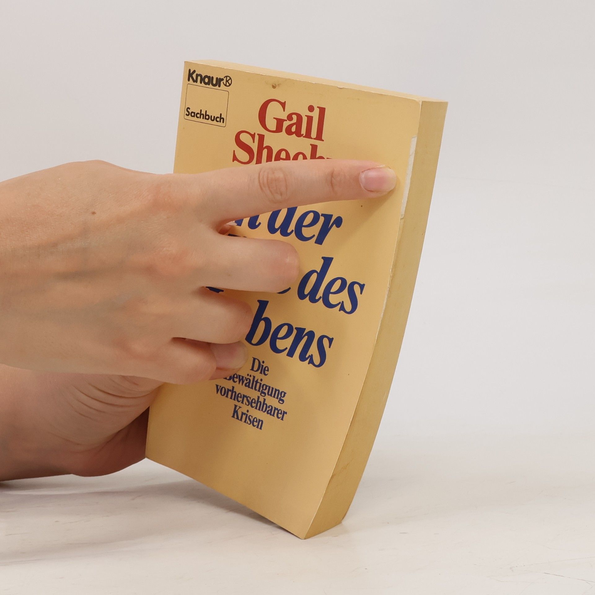 Gail Sheehy In der Mitte des Lebens