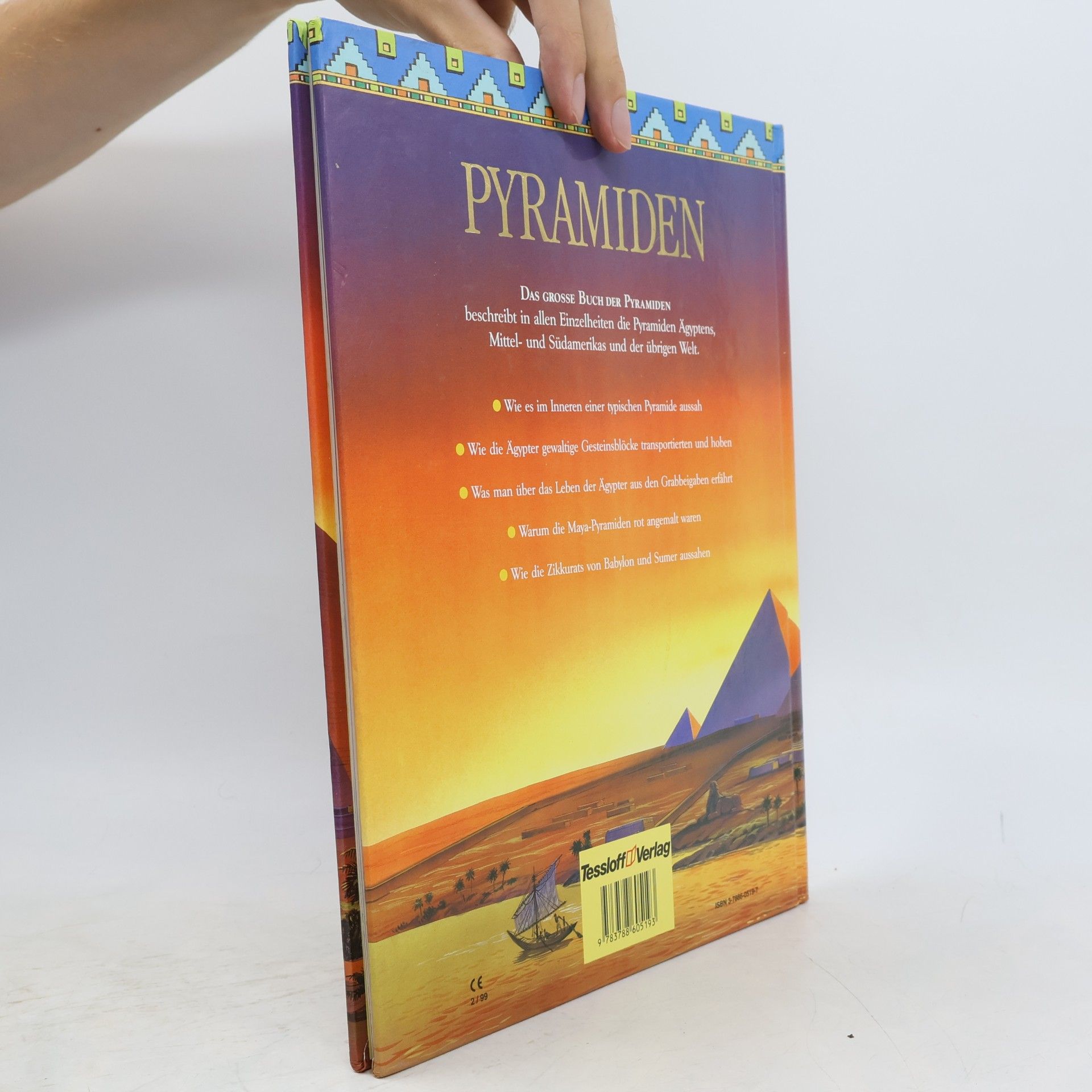 Anne Marie Millard Das große Buch der Pyramiden