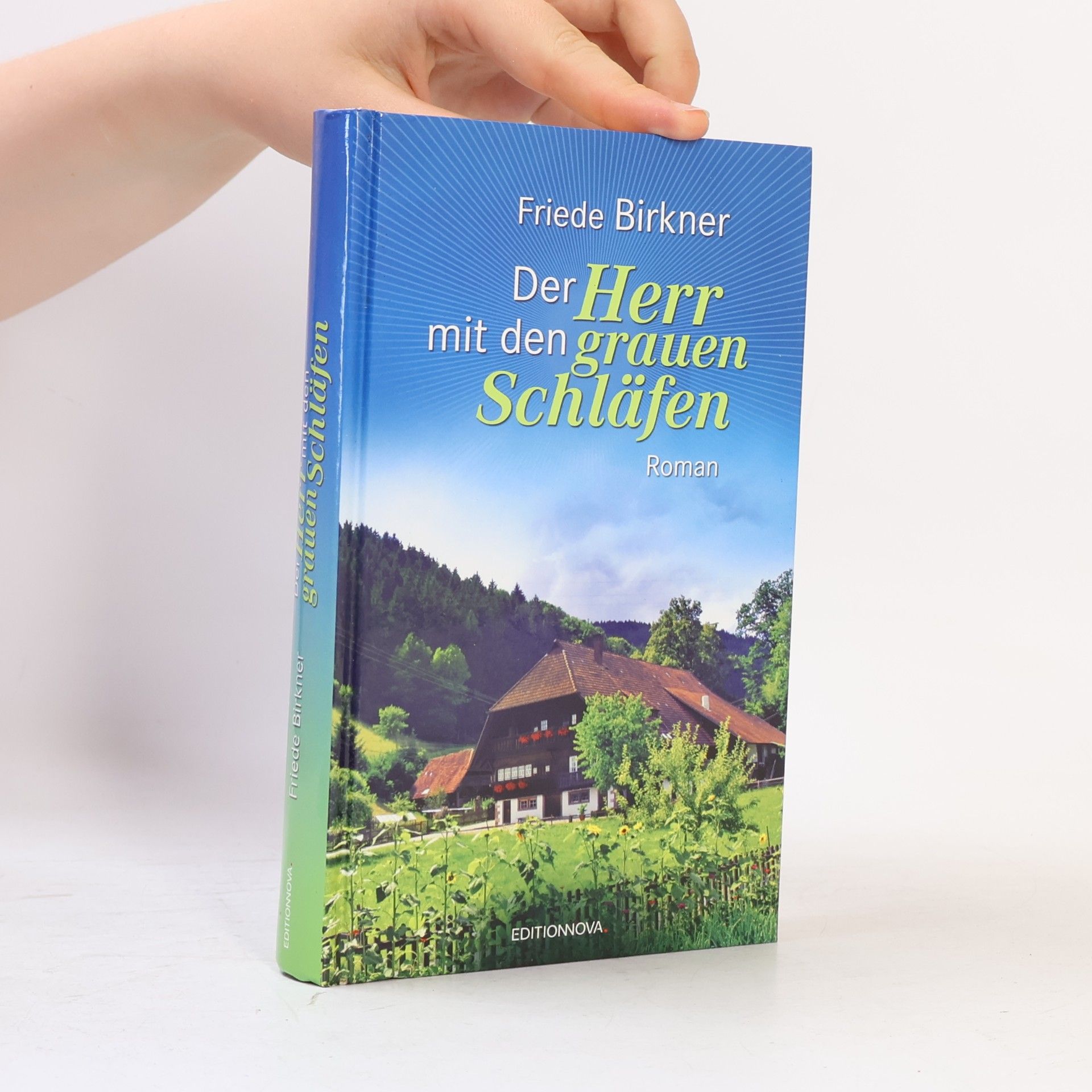 Frieda Birkner Der Herr mit den grauen Schläfen