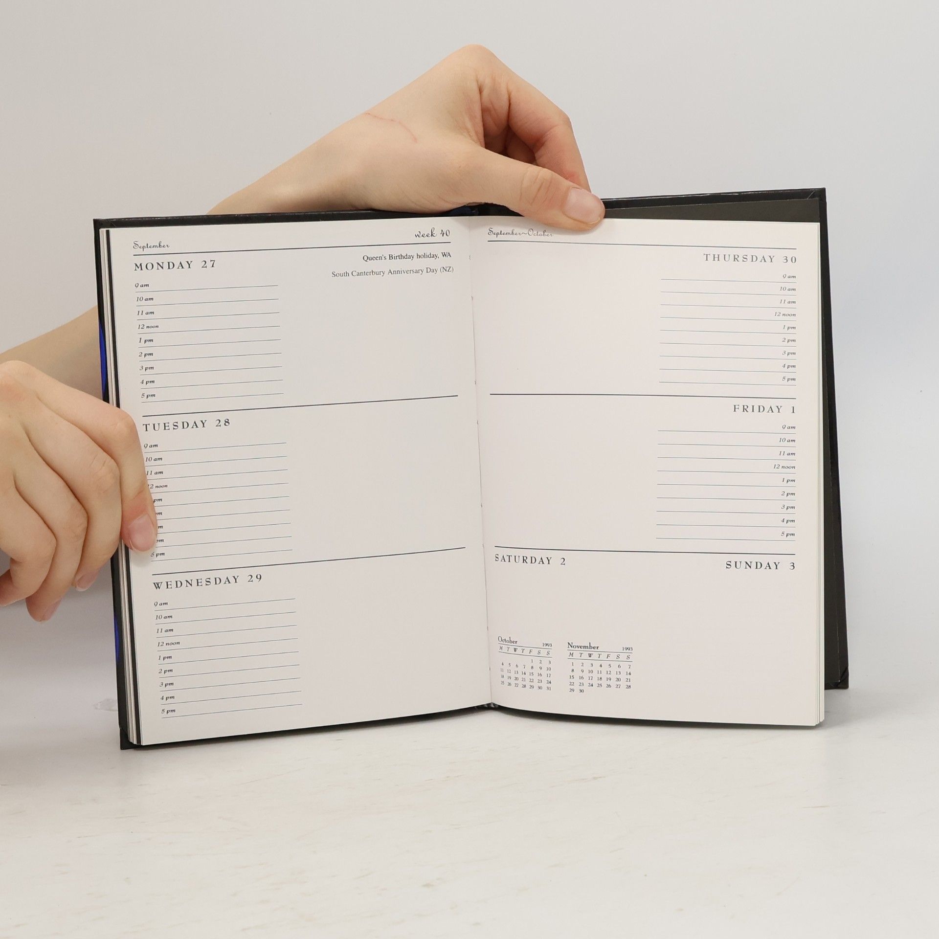 Sally Swain Great Housewives of Art Diary 1993