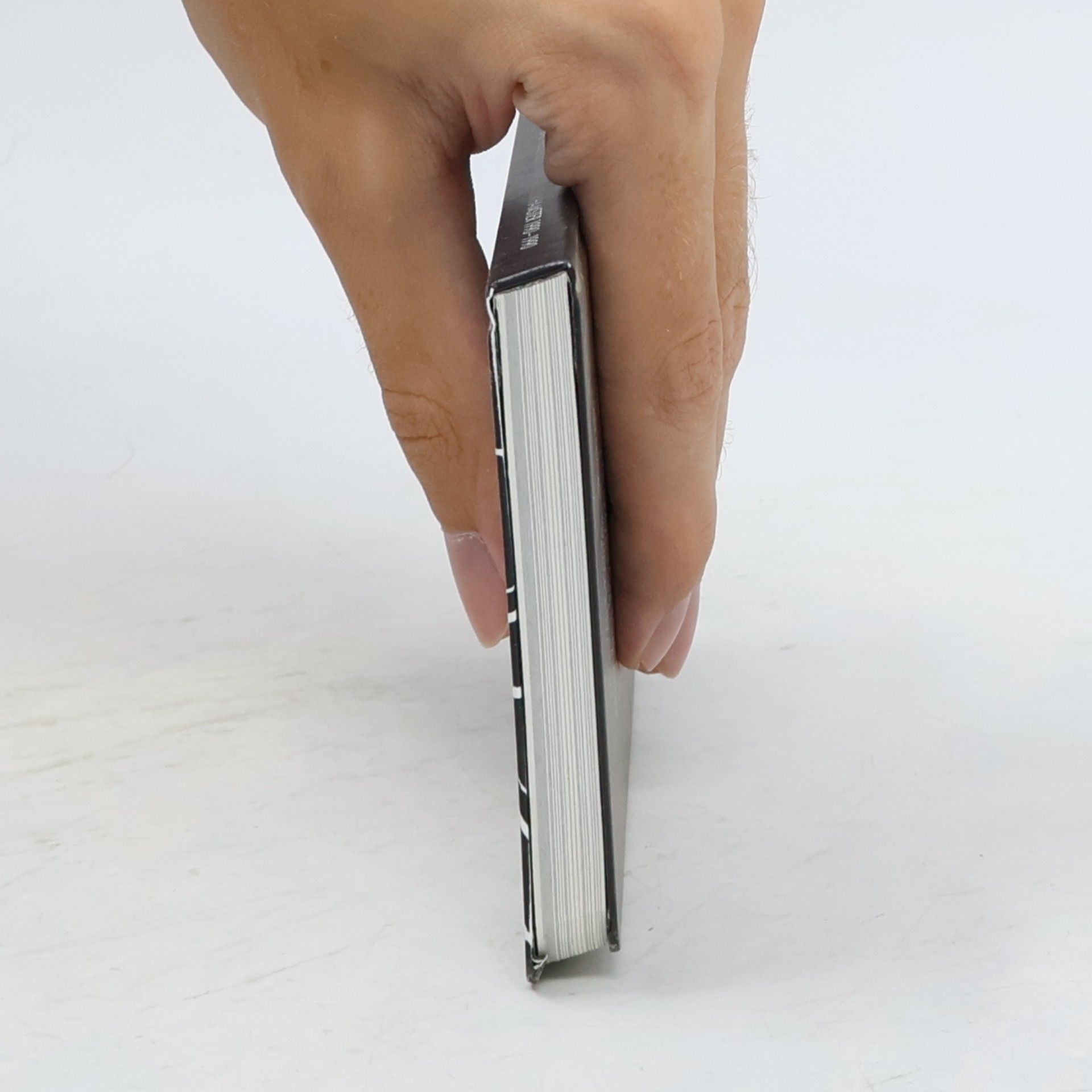 Miriam Elia Das Tagebuch von Edward dem Hamster 1990 - 1990