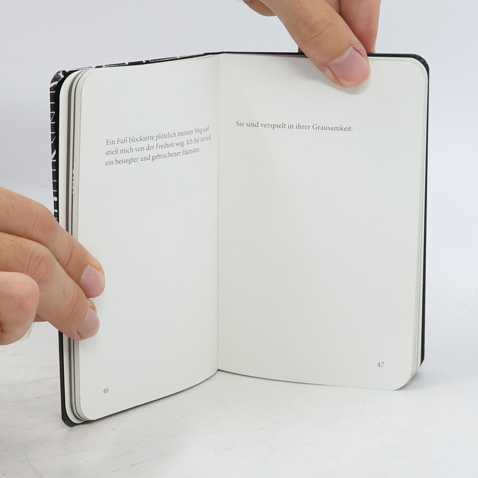 Miriam Elia Das Tagebuch von Edward dem Hamster 1990 - 1990