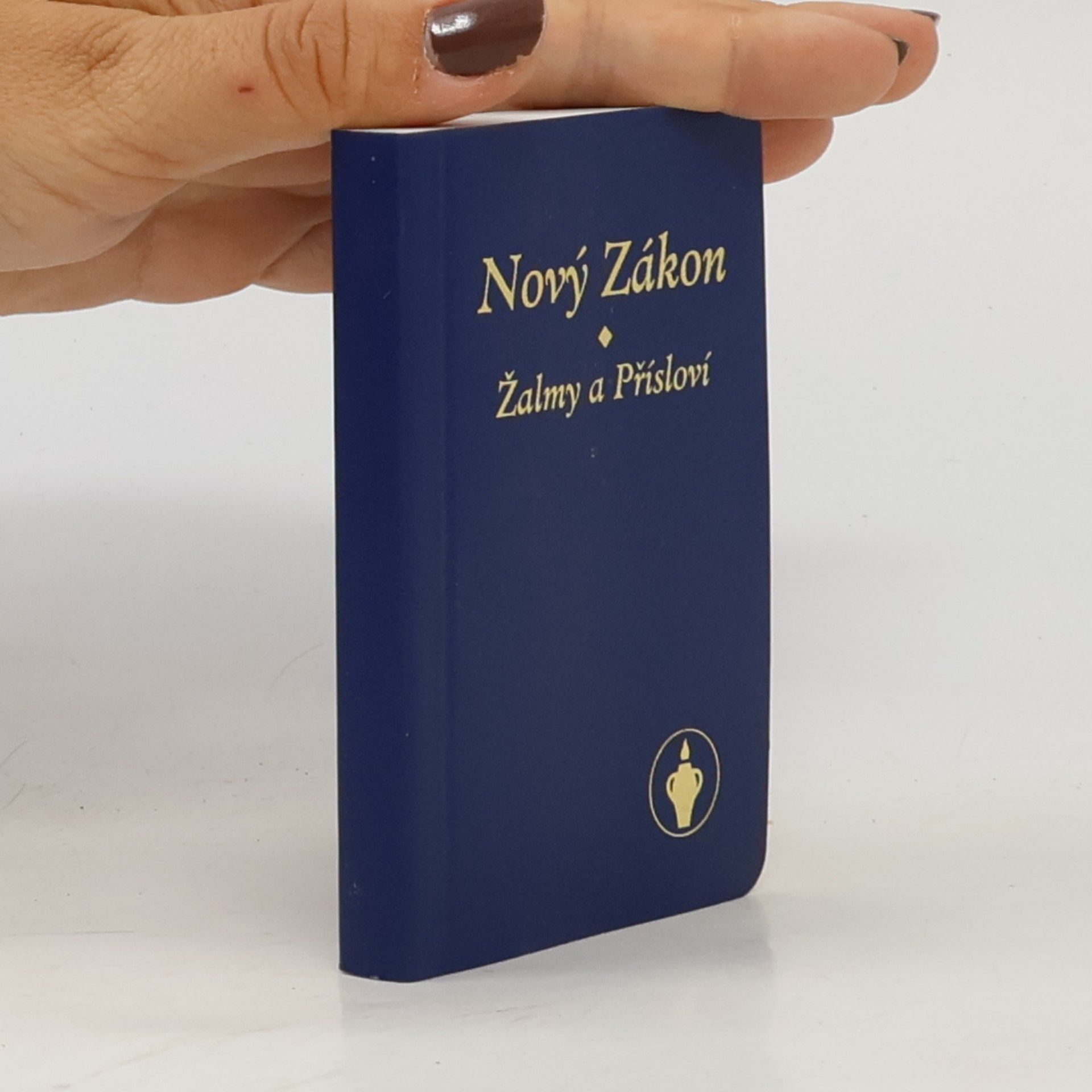 Kolektiv autorů Nový Zákon