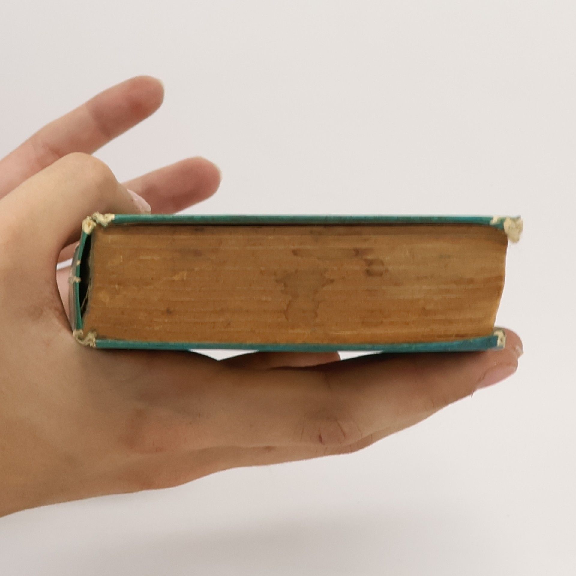Various authors Spezialitäten Kochbuch