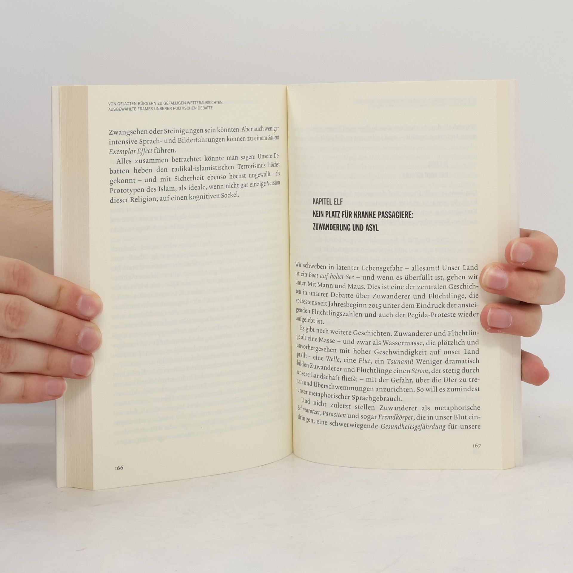Elisabeth Wehling Politisches Framing