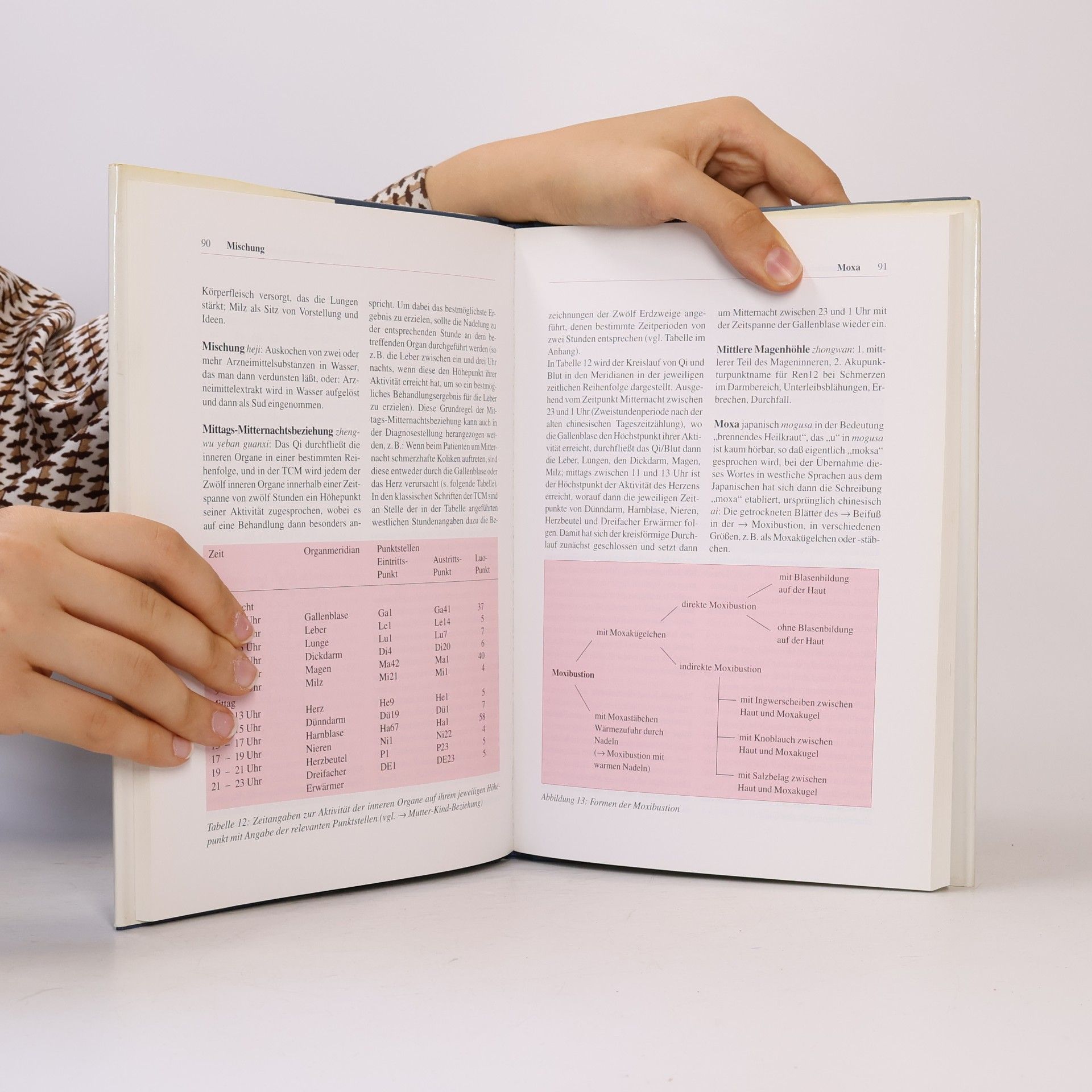 Wolfgang G. A. Schmidt Handbuch der chinesischen Heilkunst: von Akupunktur bis Zungendiagnostik