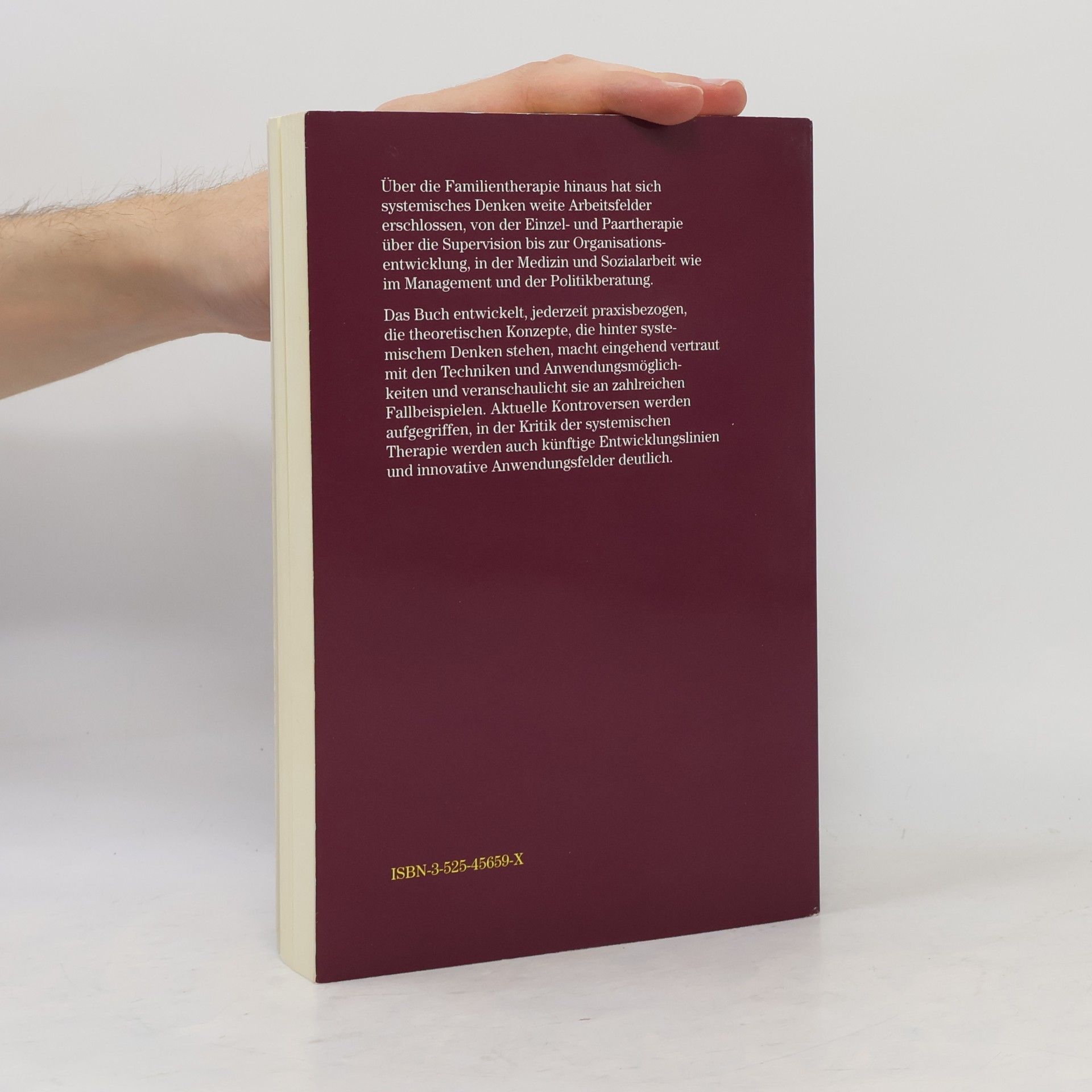 Arist von Schlippe Lehrbuch der systemischen Therapie und Beratung