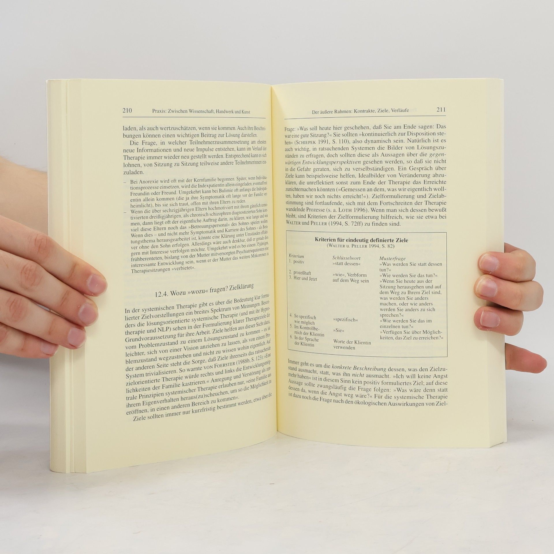Arist von Schlippe Lehrbuch der systemischen Therapie und Beratung